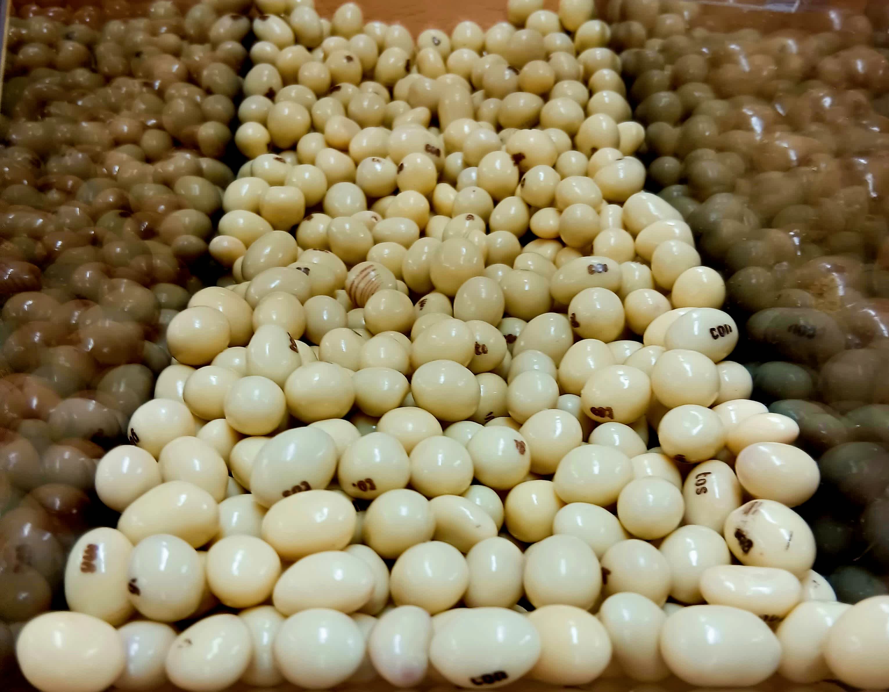 Conguitos Chocolate Blanco