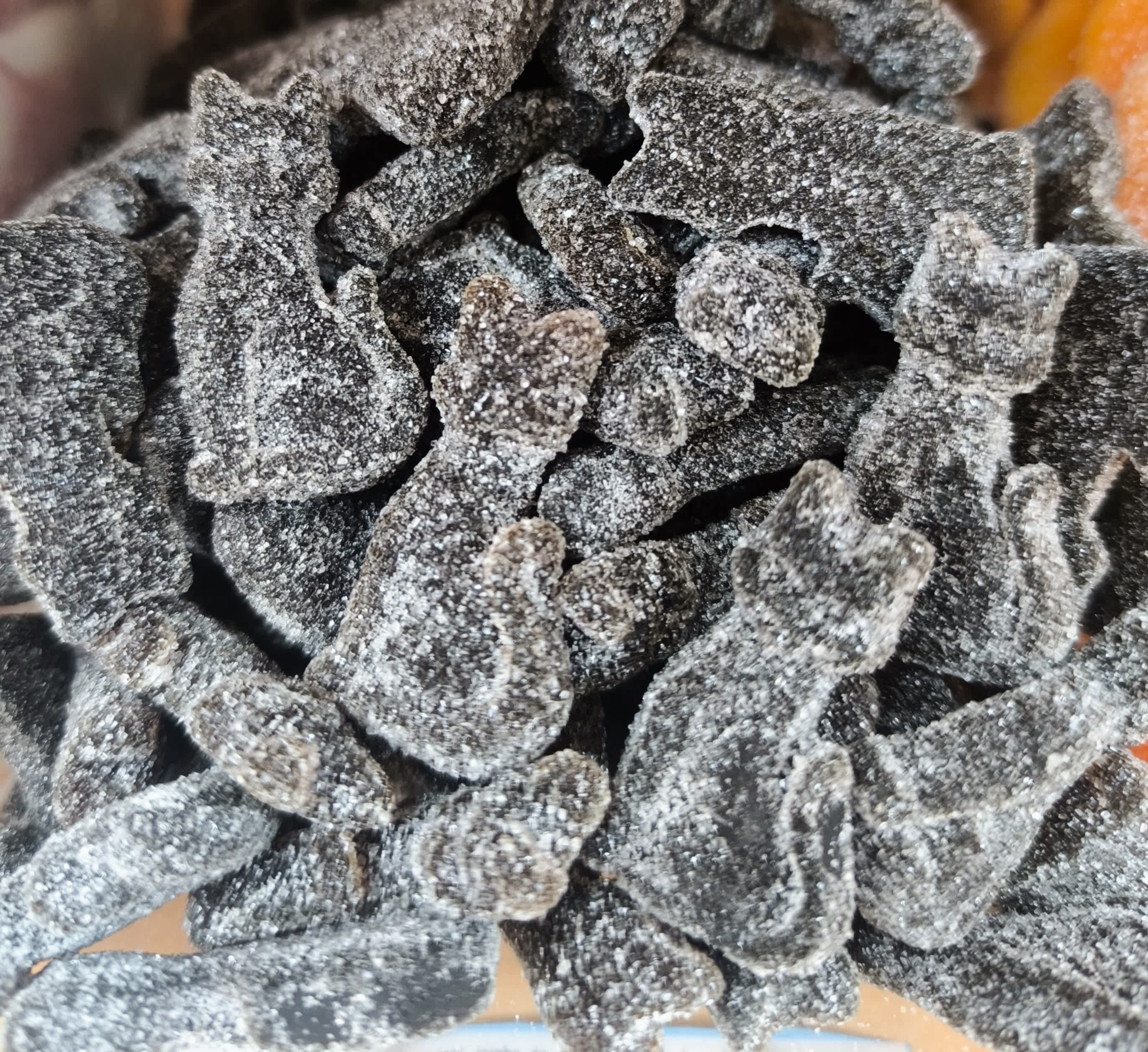 Gatos