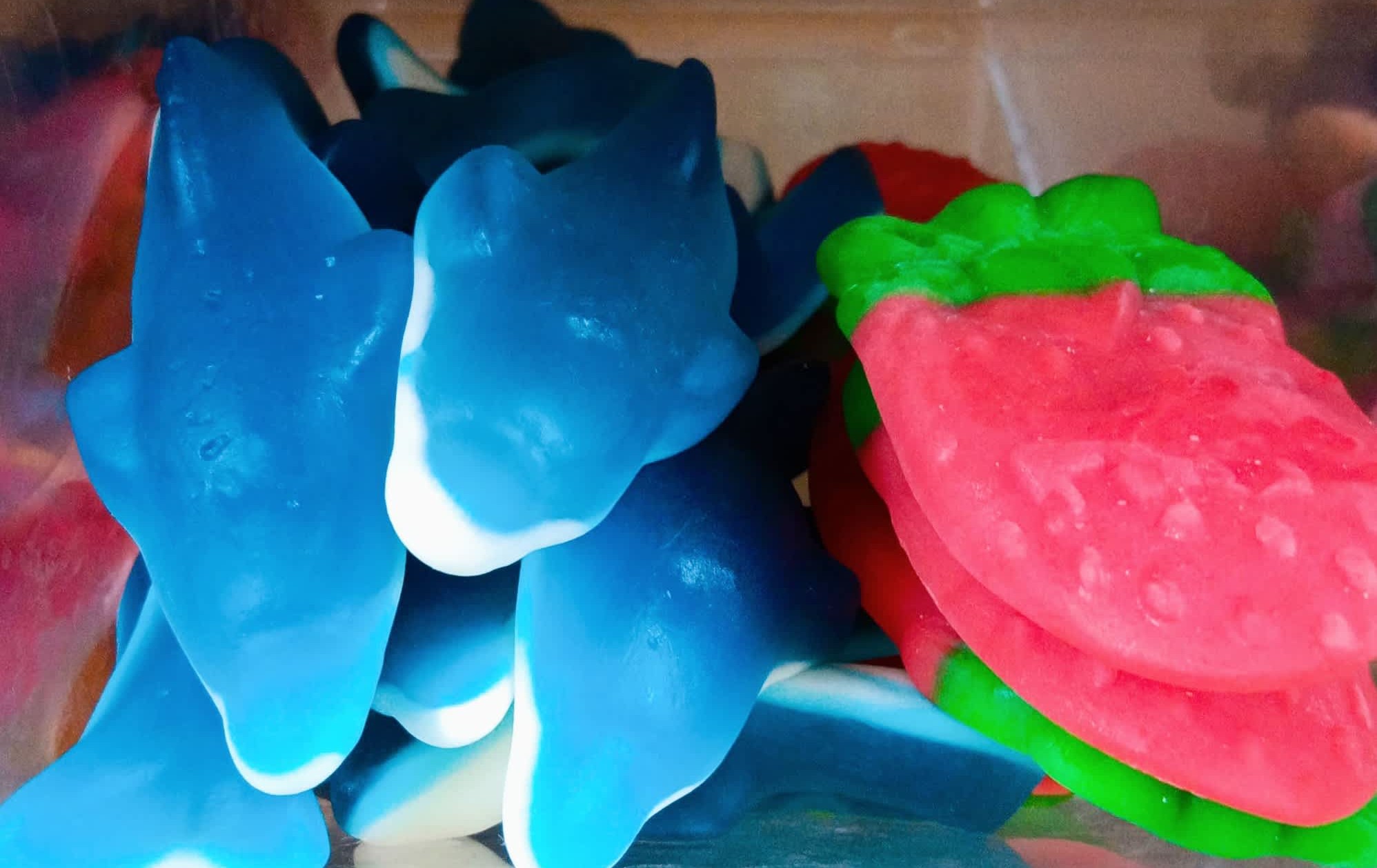 Delfines XL