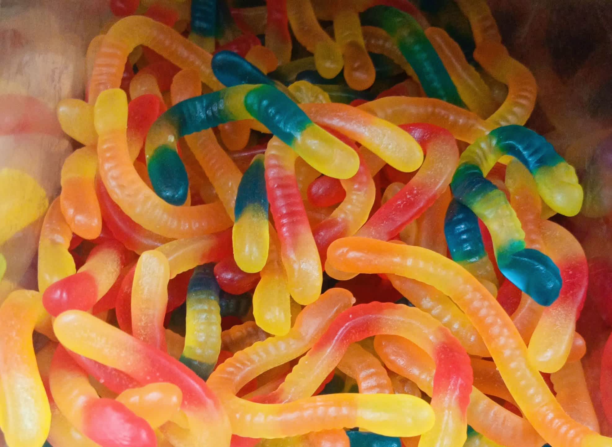 Gusanos