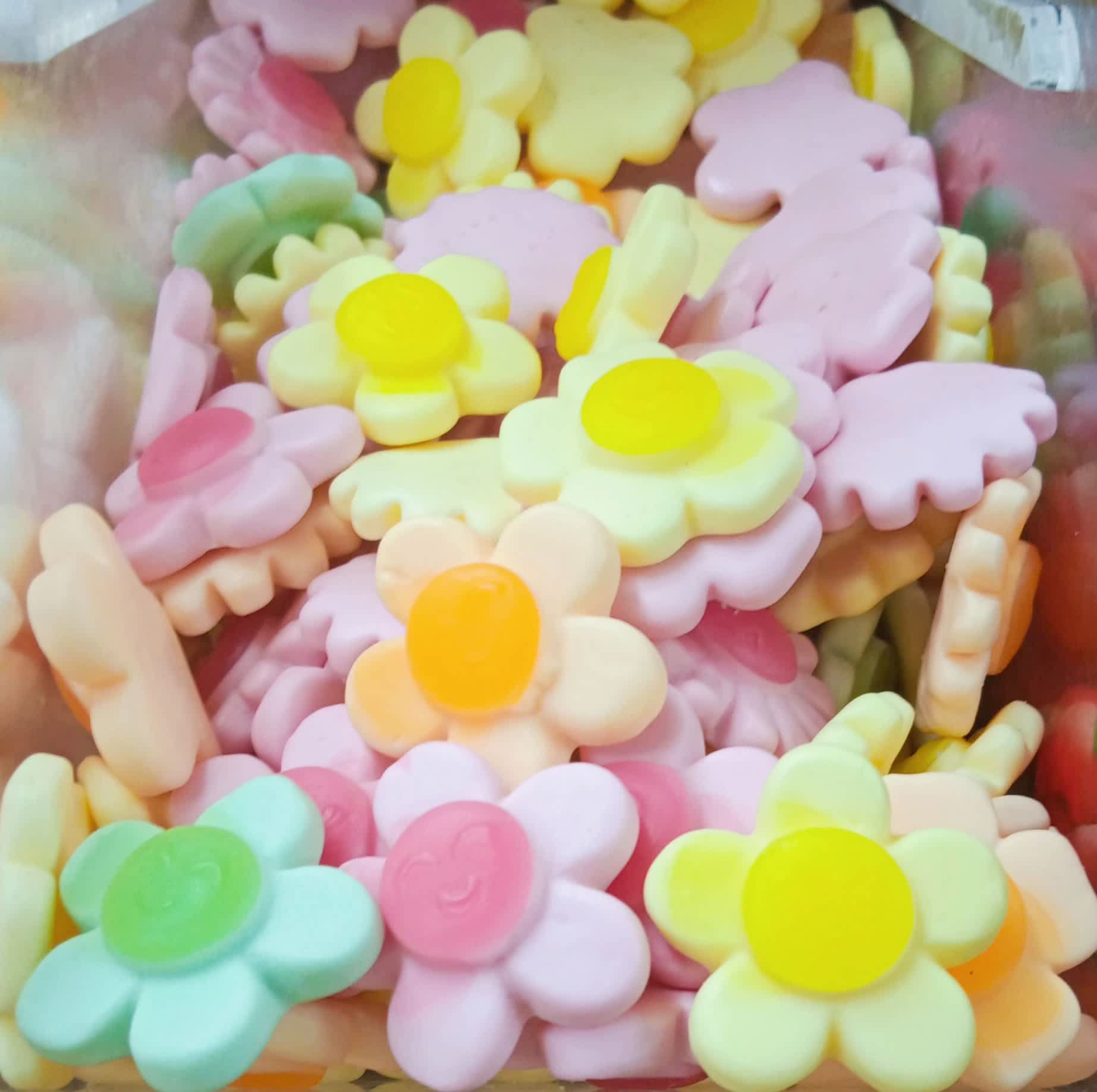 Flores