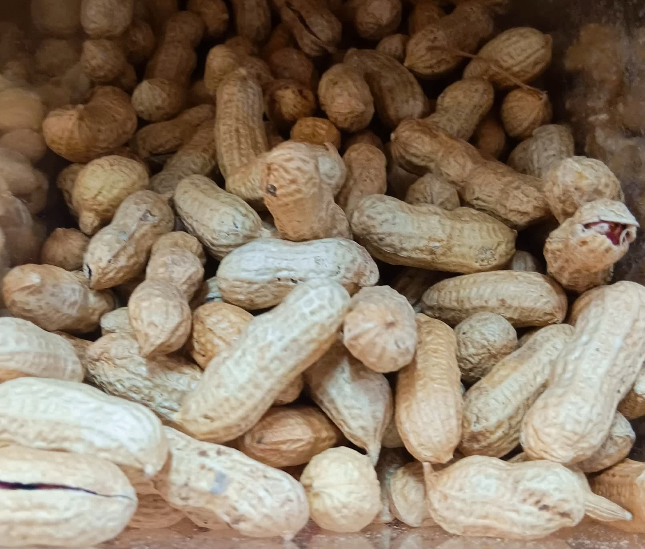 Cacahuete Brasil