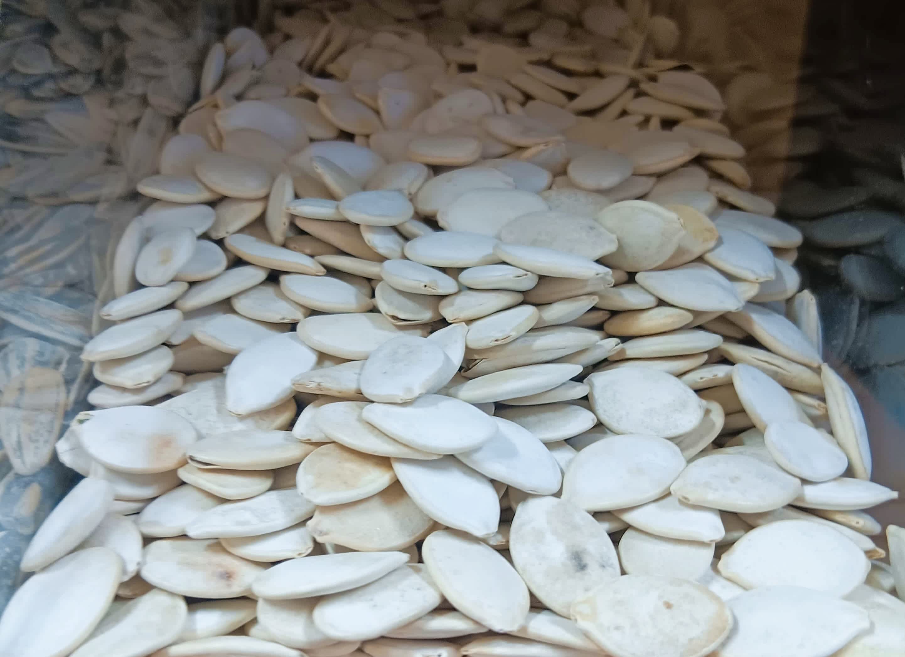 Pipas de Calabaza