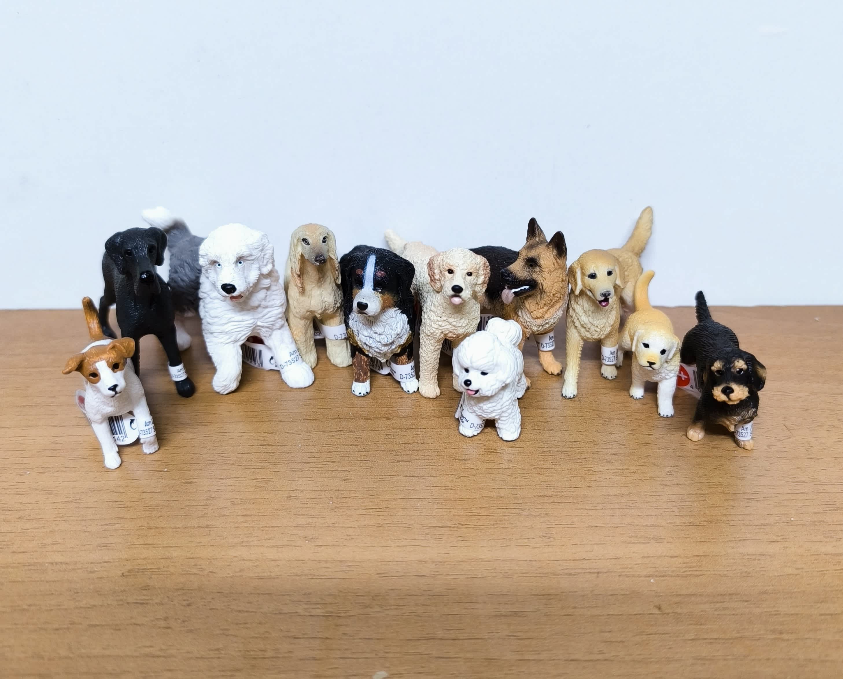 Pack Perros