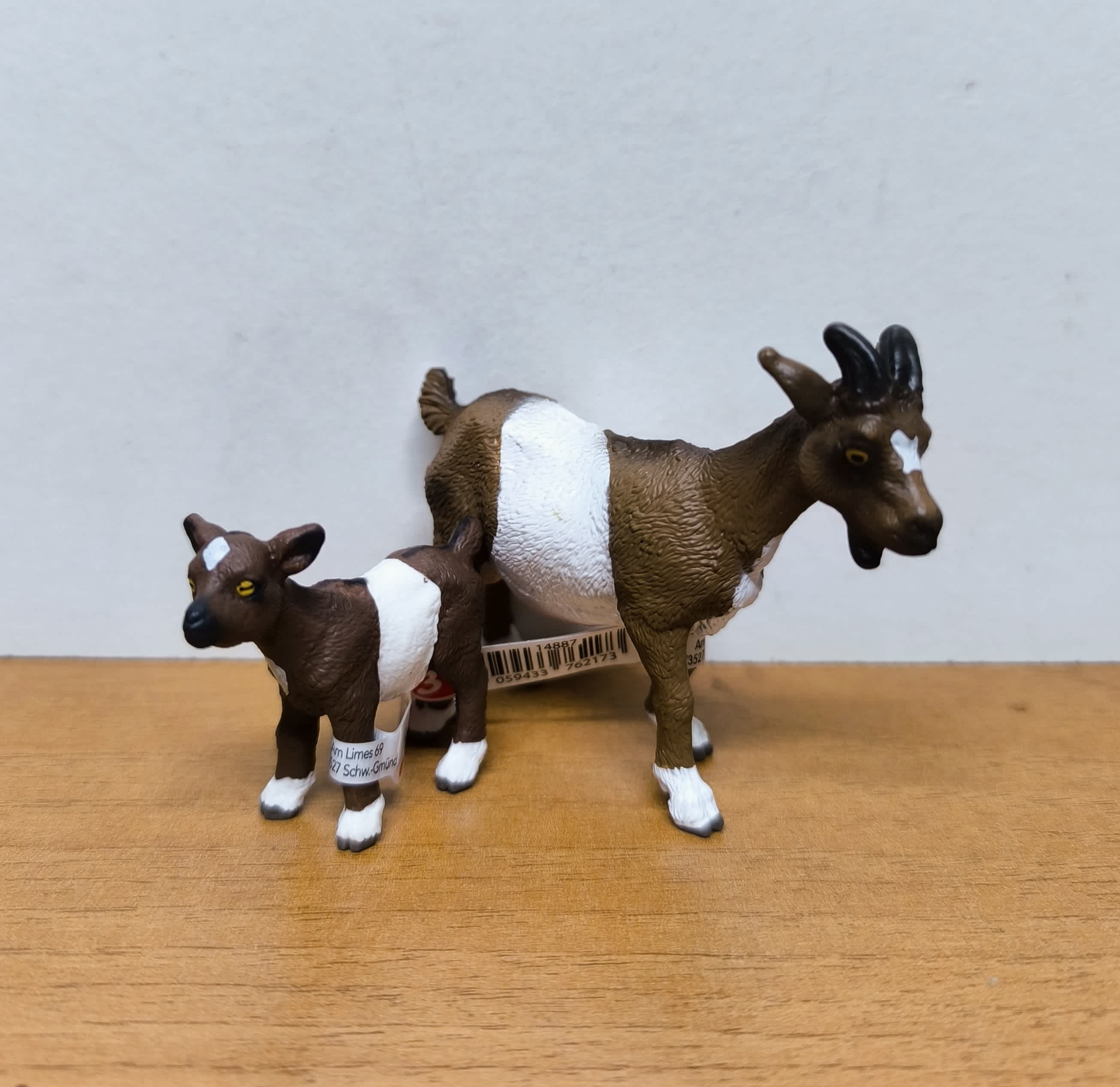 Pack Cabras