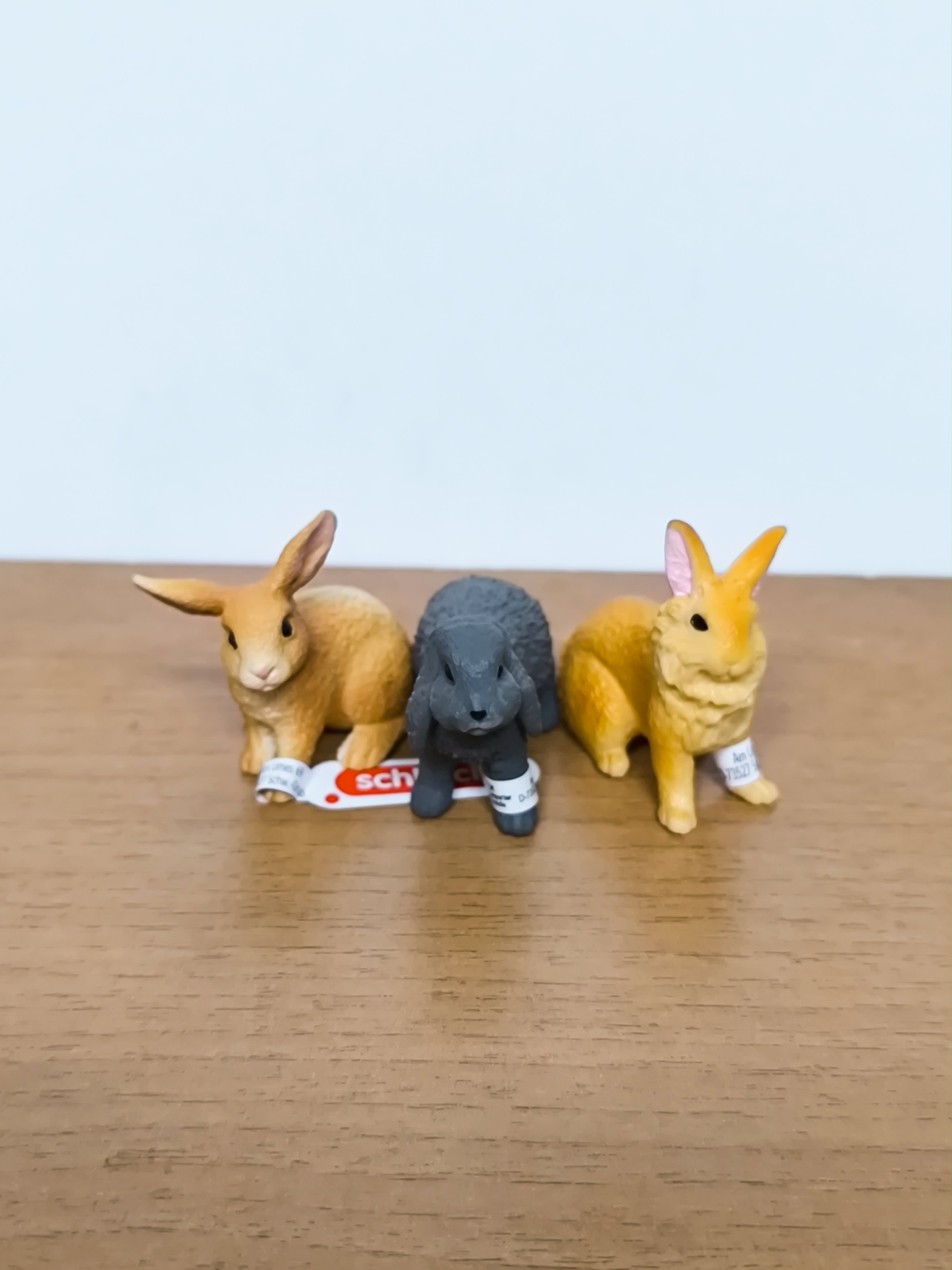 Pack Conejos