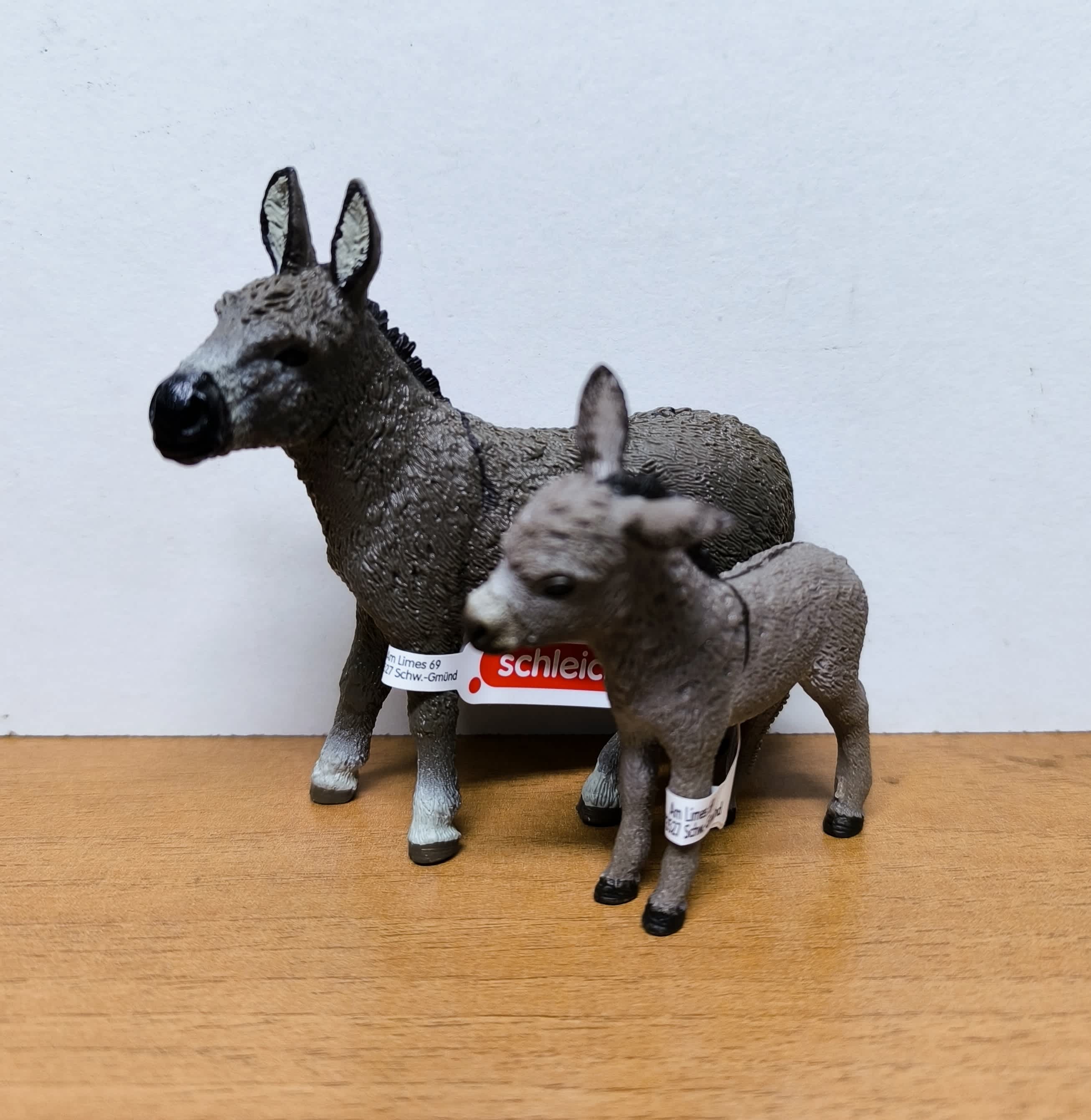 Pack Burros