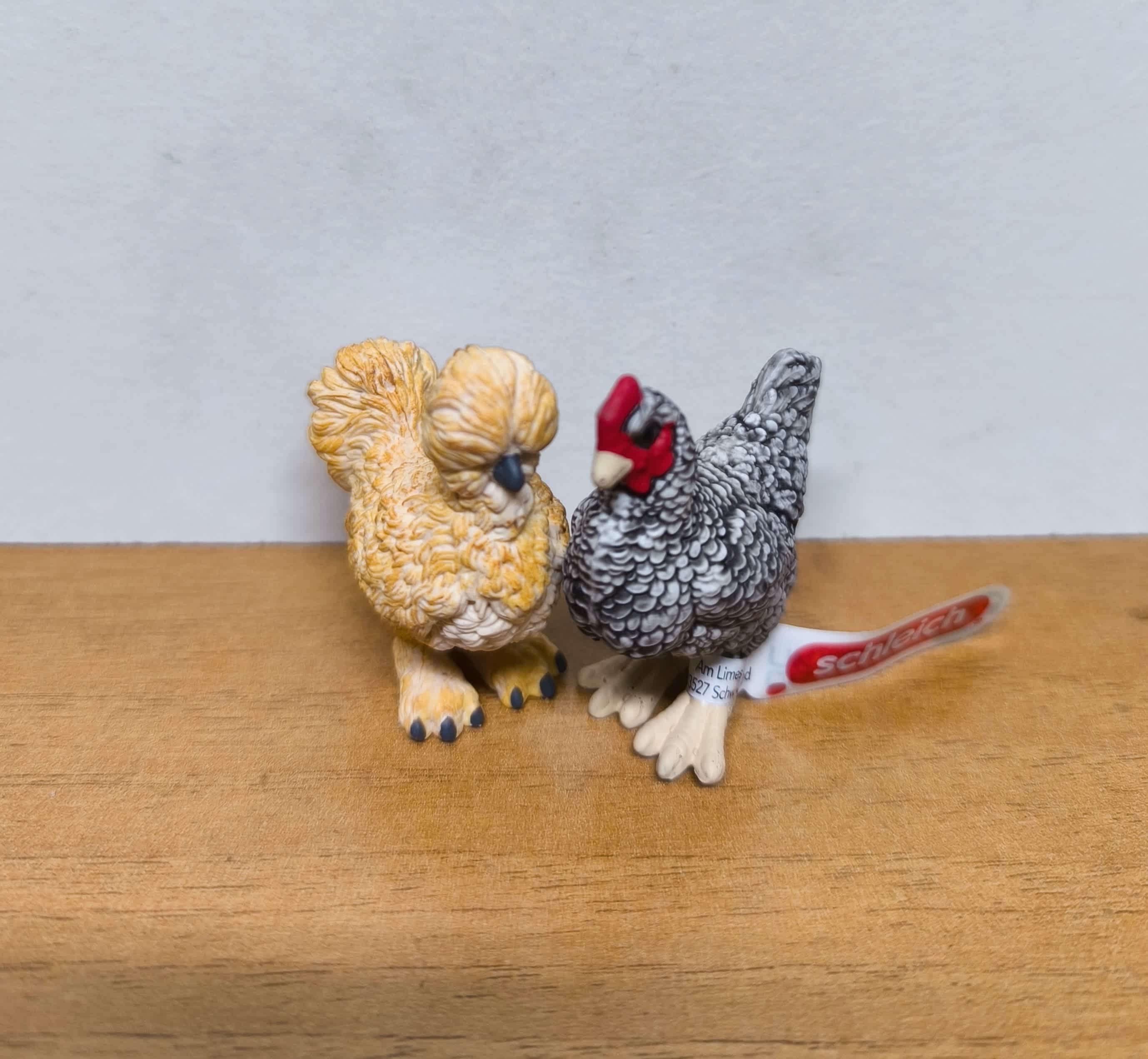 Pack Silkie y Plymouth Rock Chicken