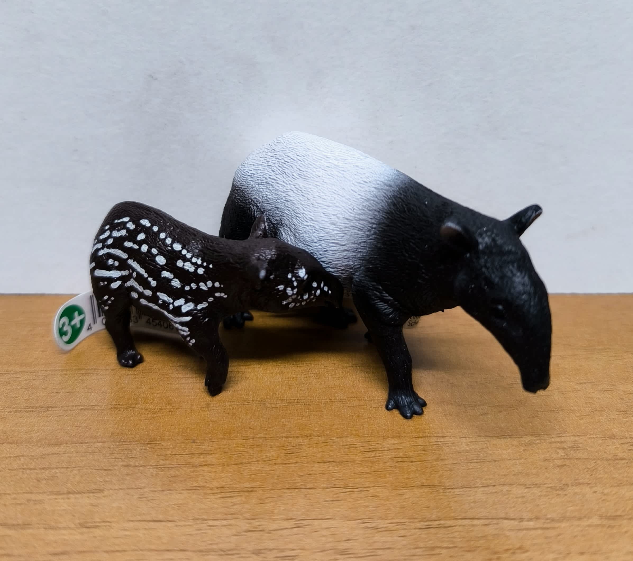 Pack Tapir