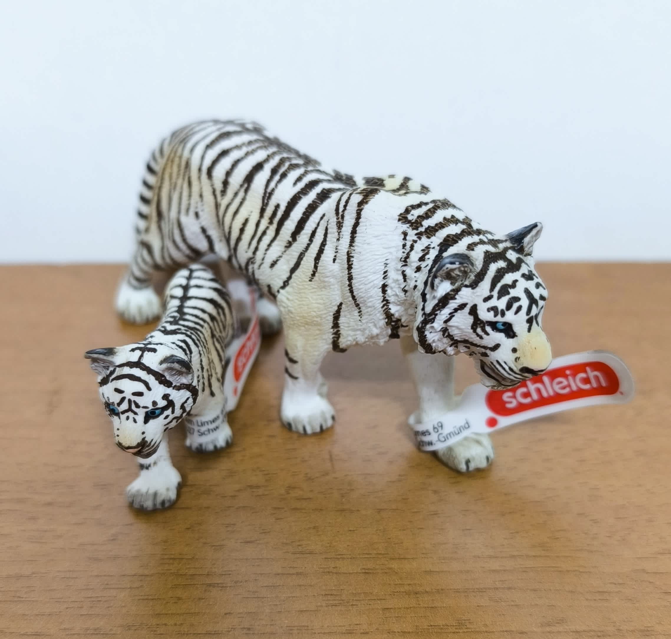 Pack Tigre blanco