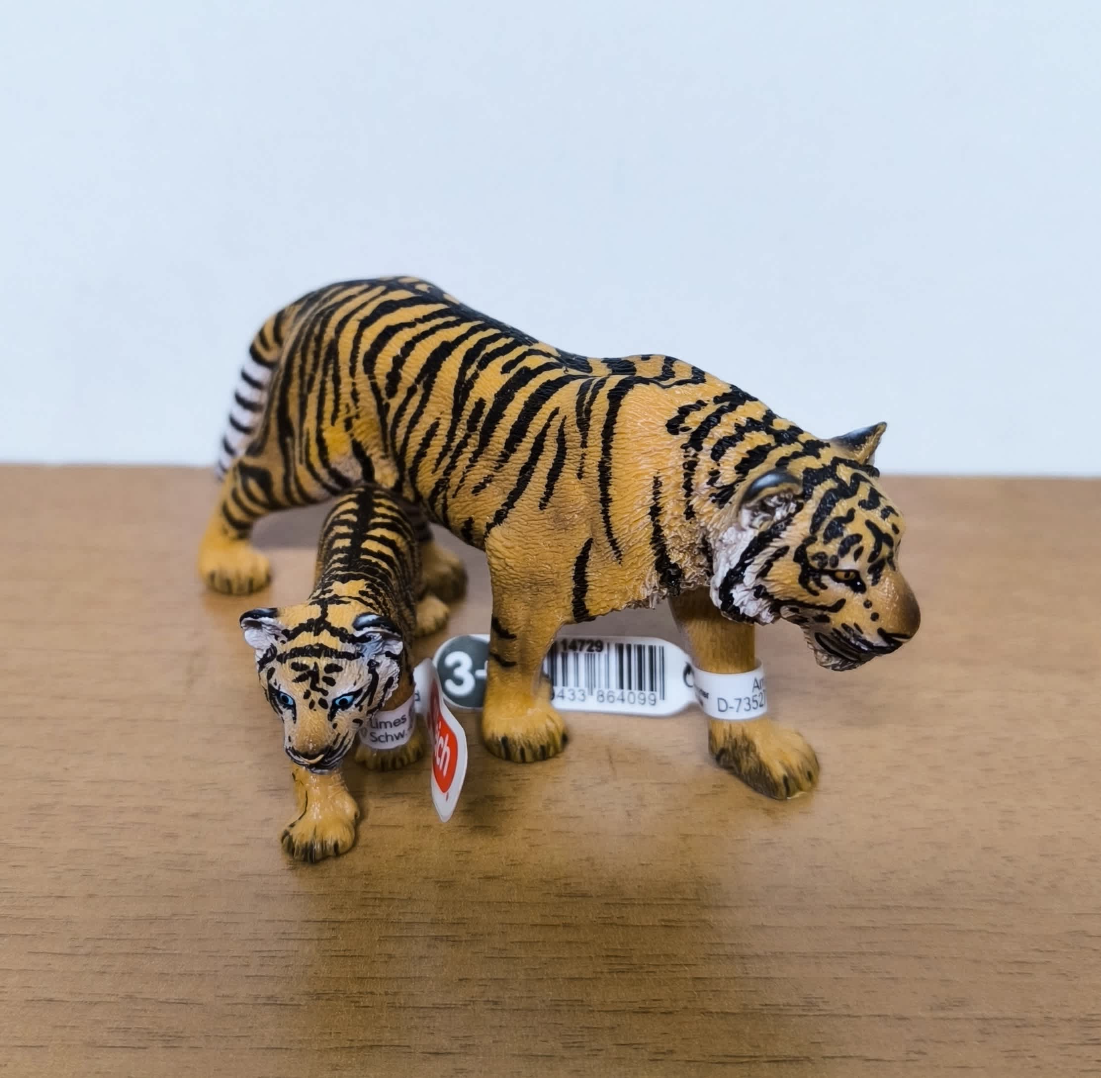 Pack Tigre