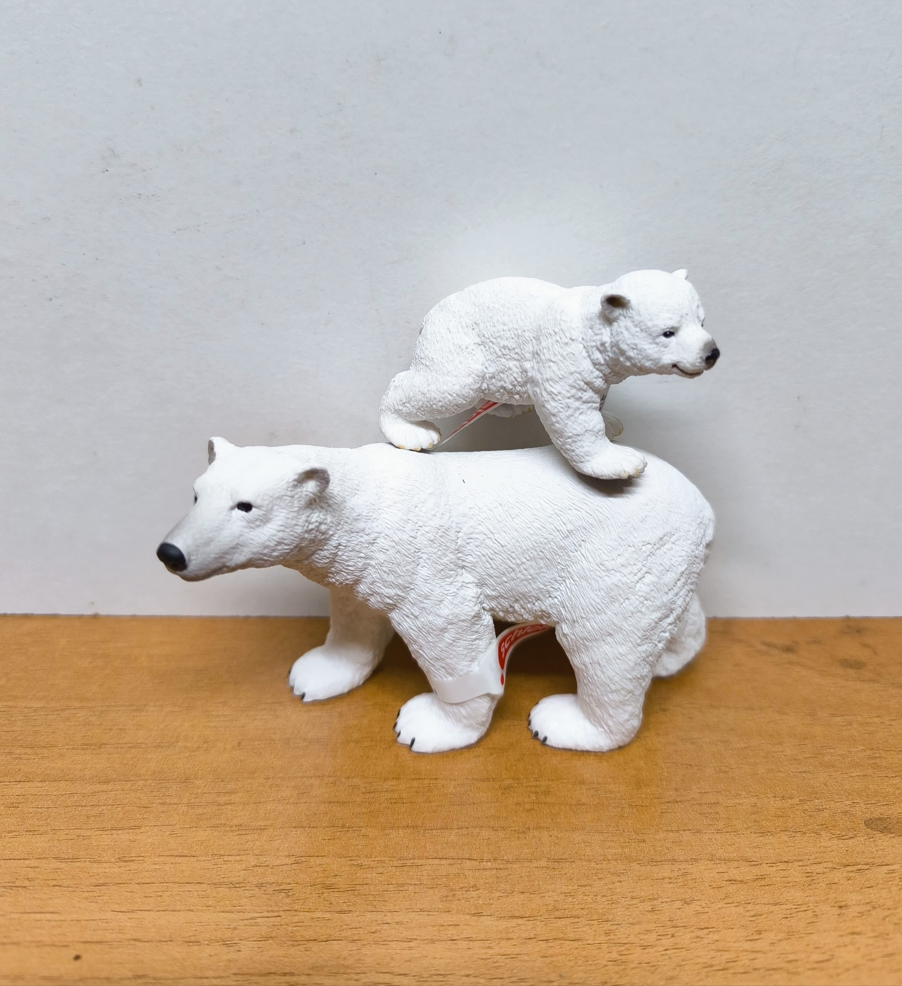 Pack Polar