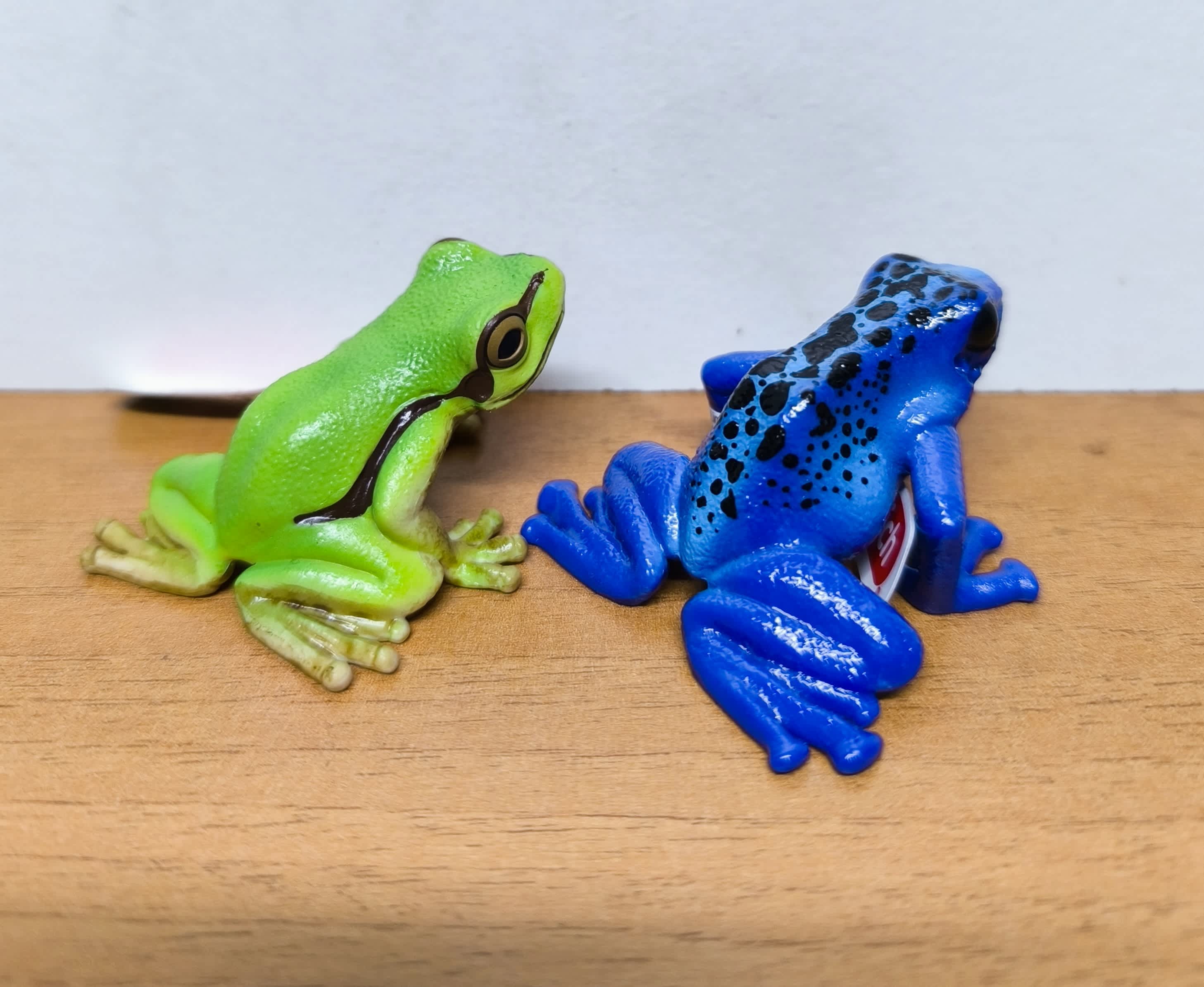 Pack Ranas