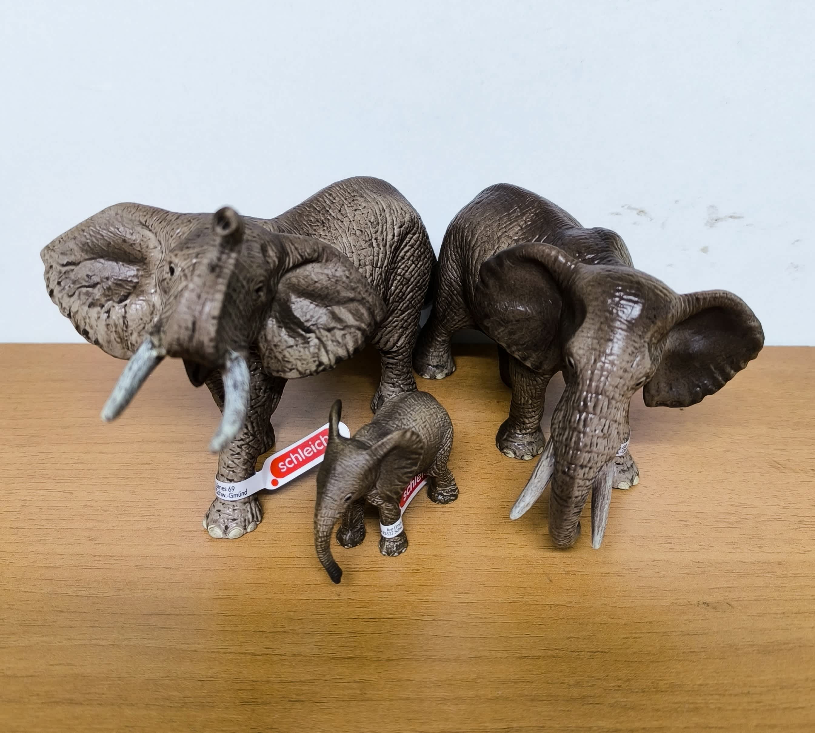 Pack Elefante
