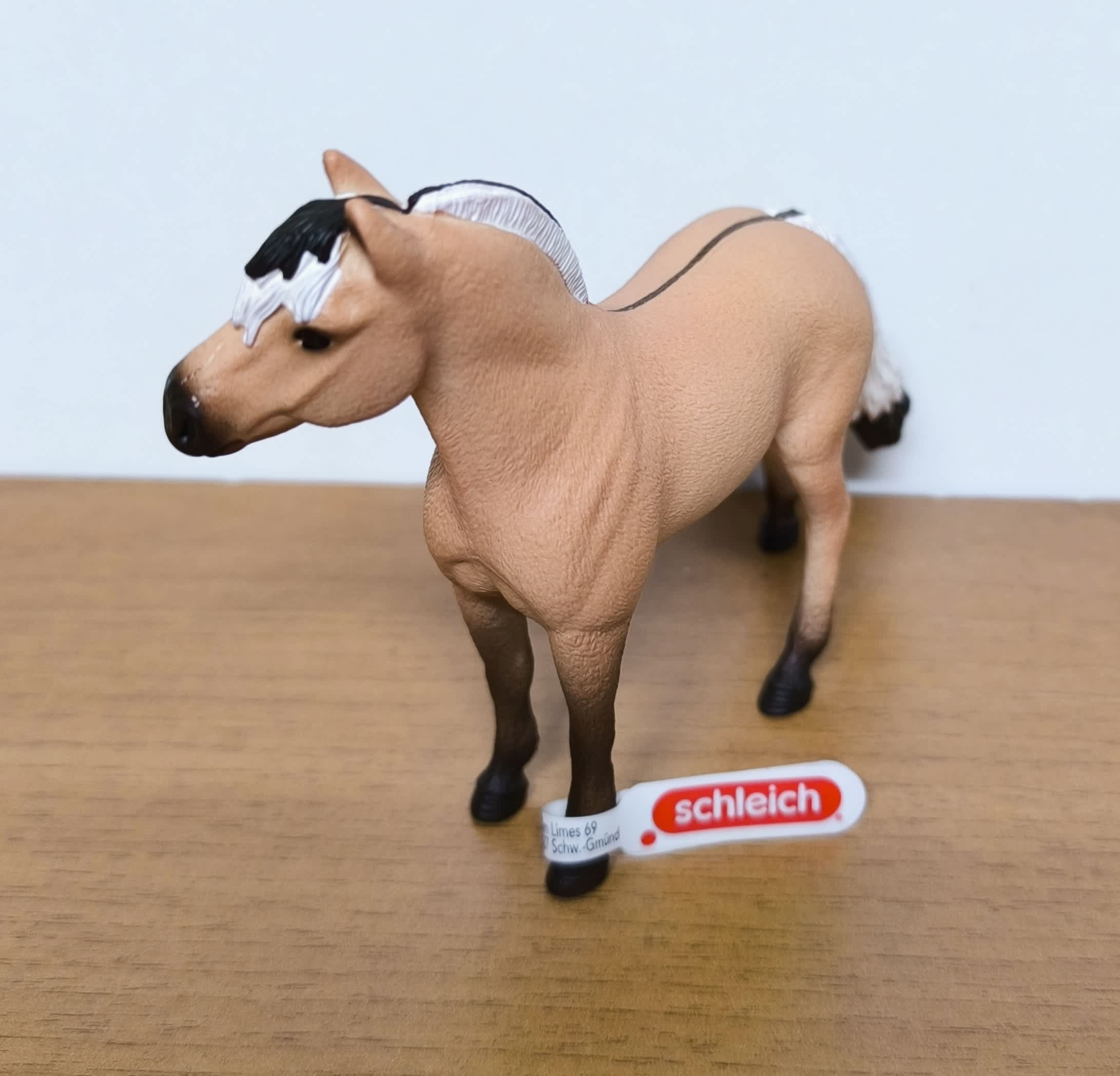 Caballo Fiordo