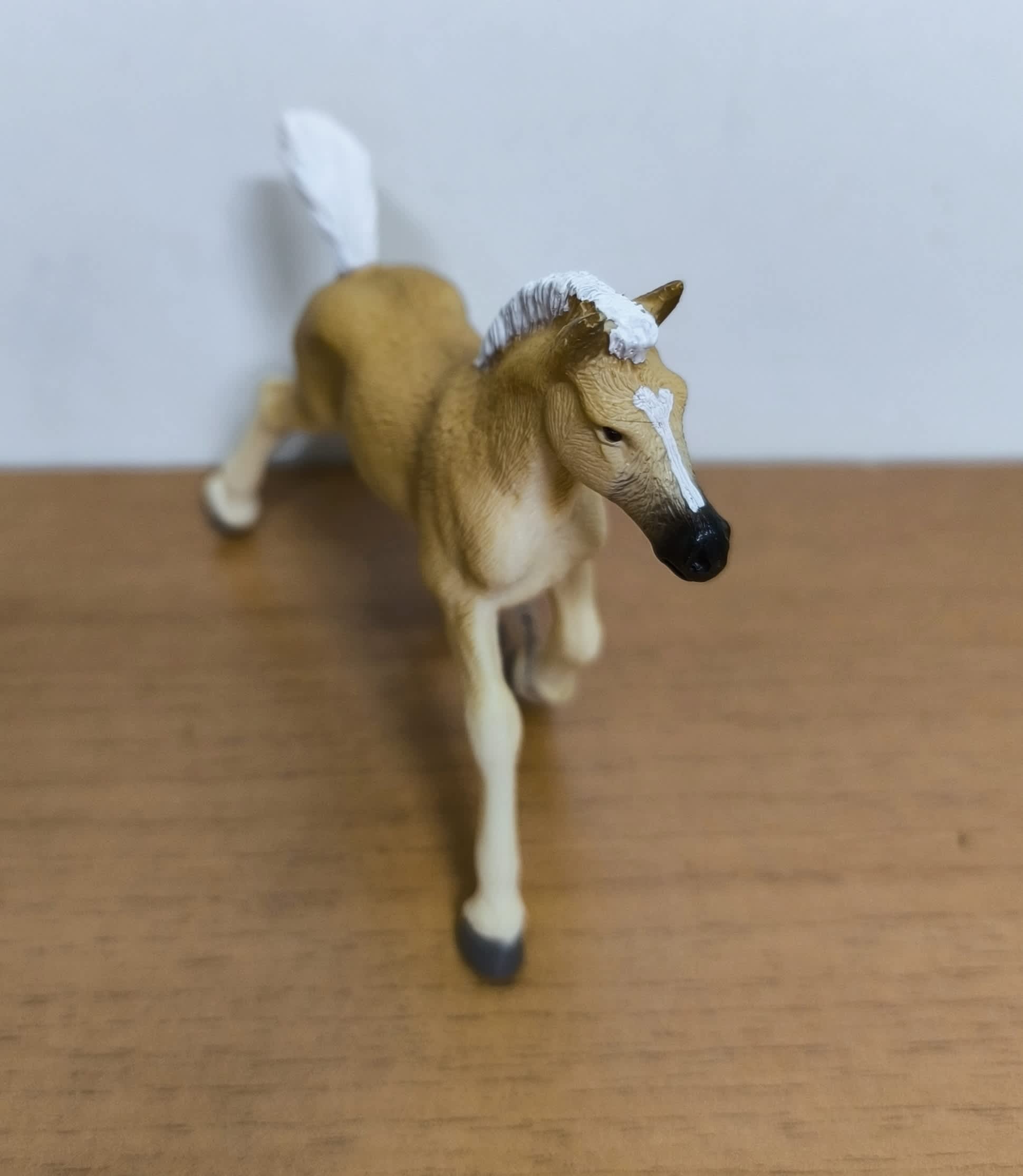Potro Haflinger
