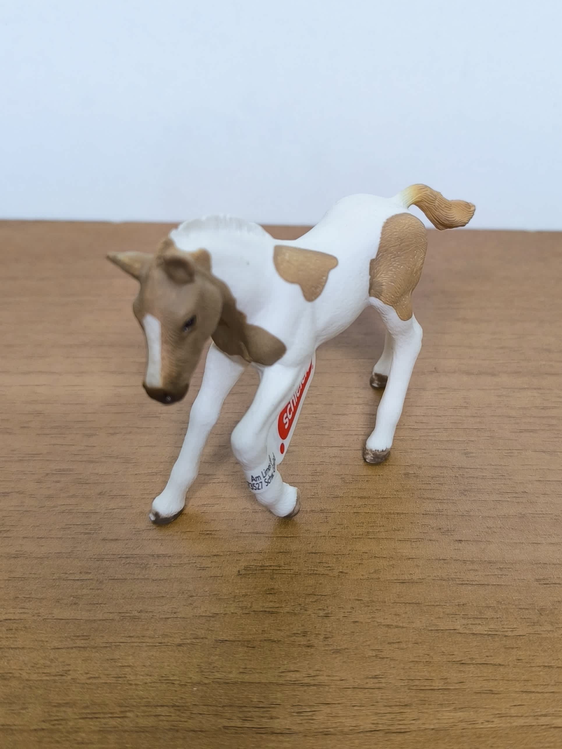 Potro Paint Horse