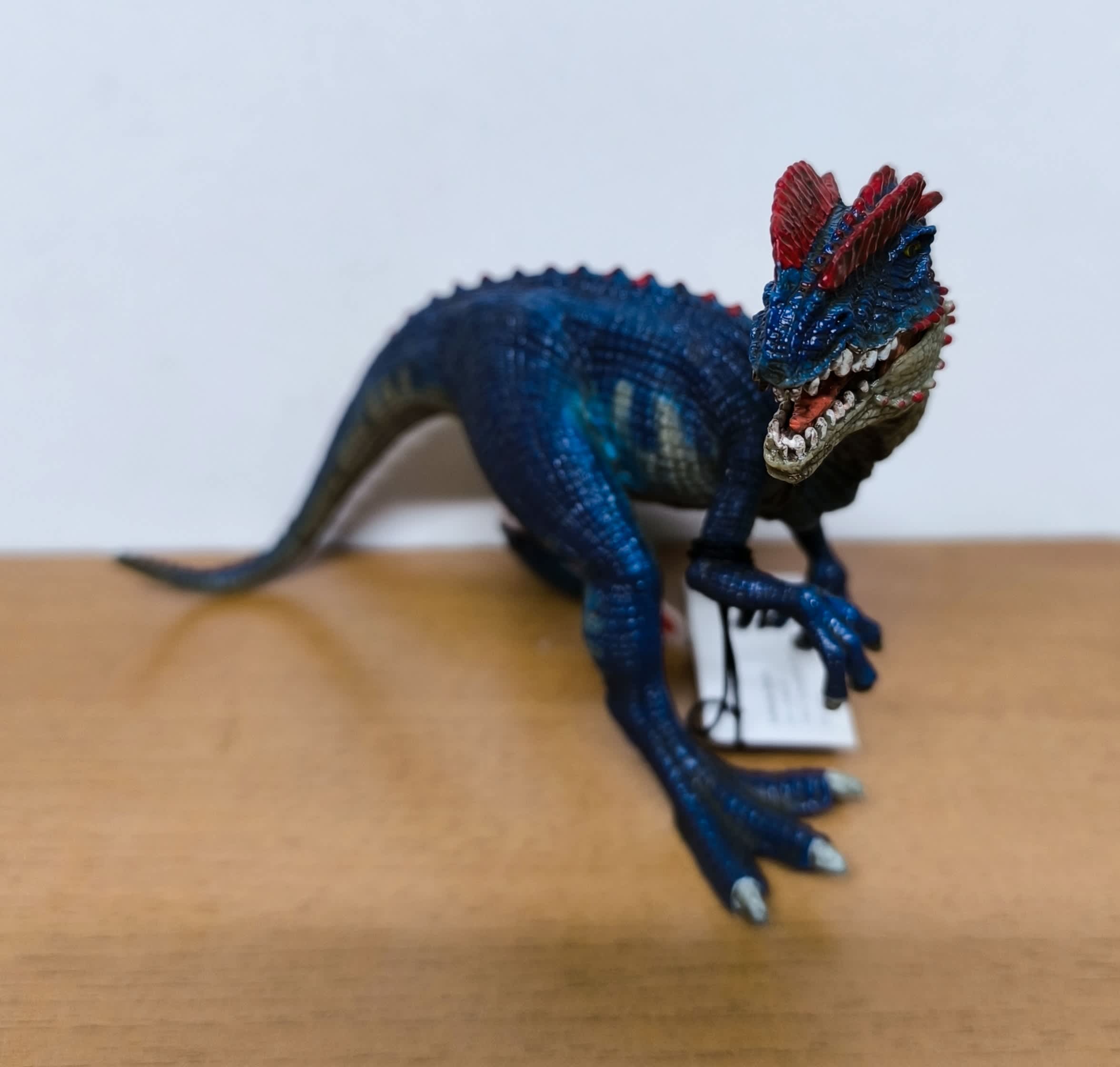 Dino 11
