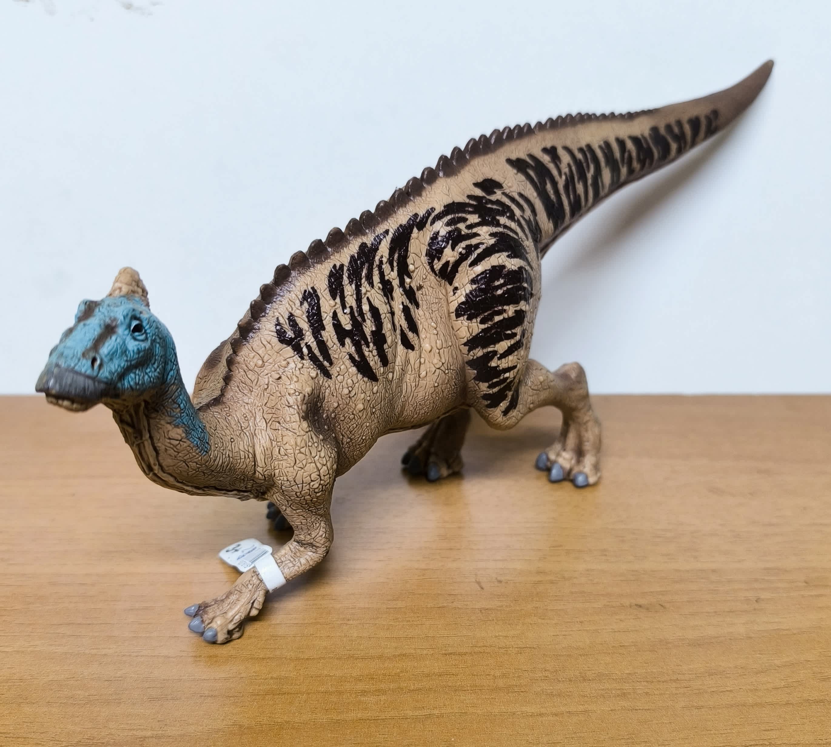 Dino 17