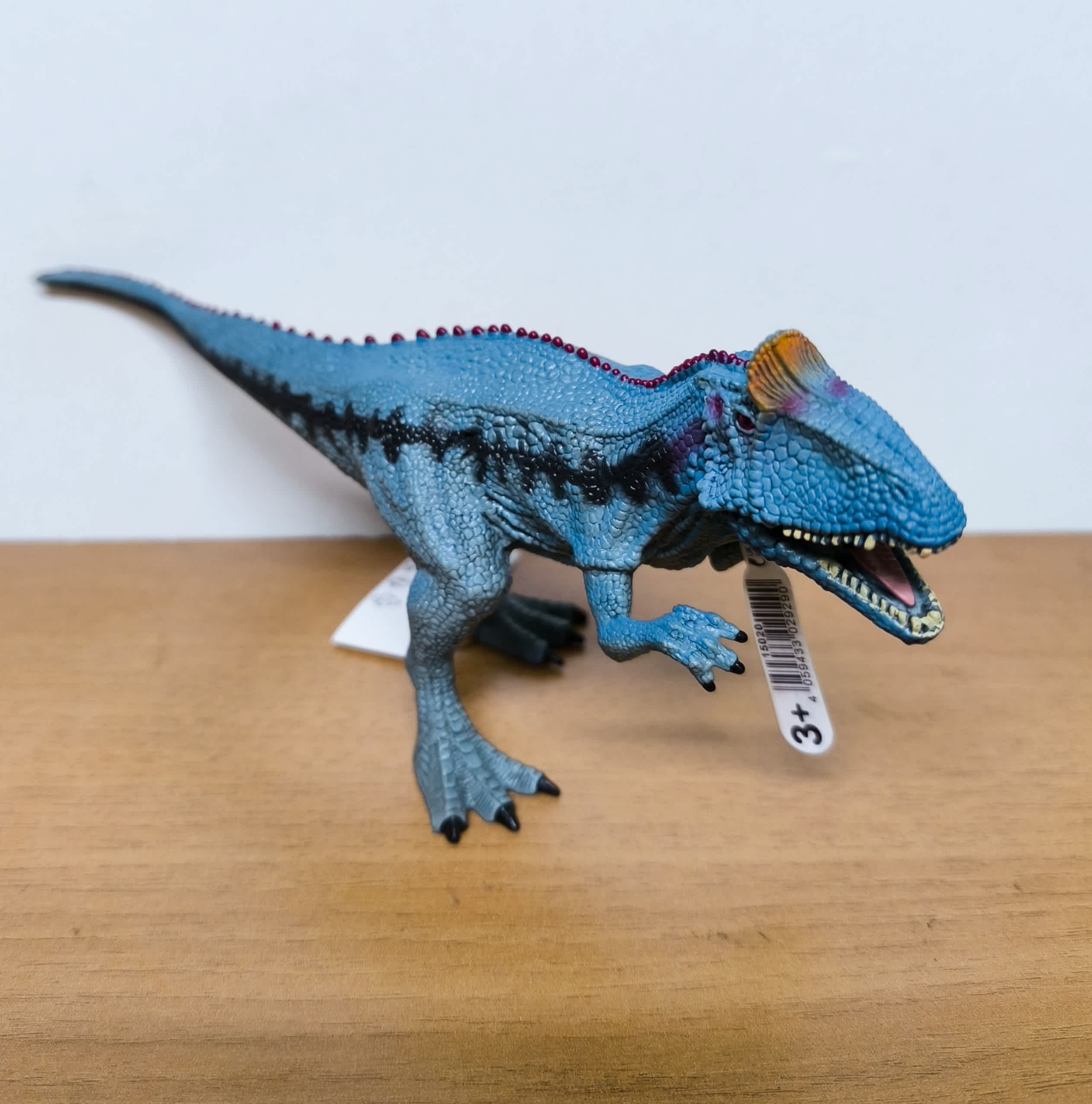 Dino 25