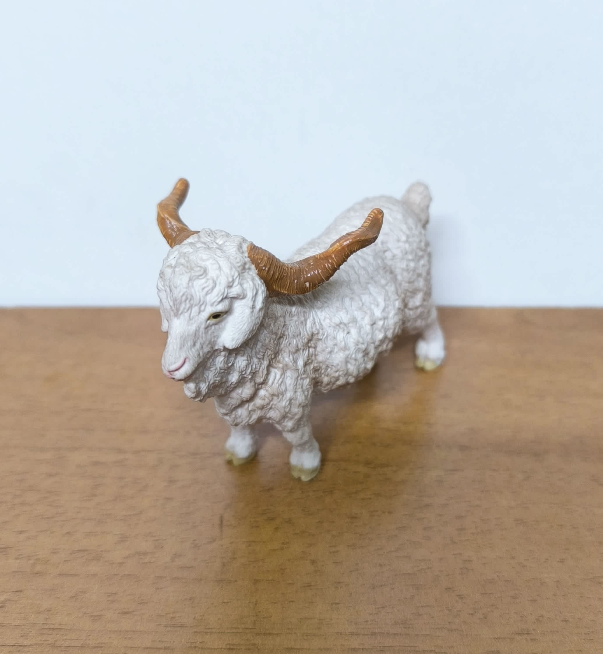 Cabra de Angora