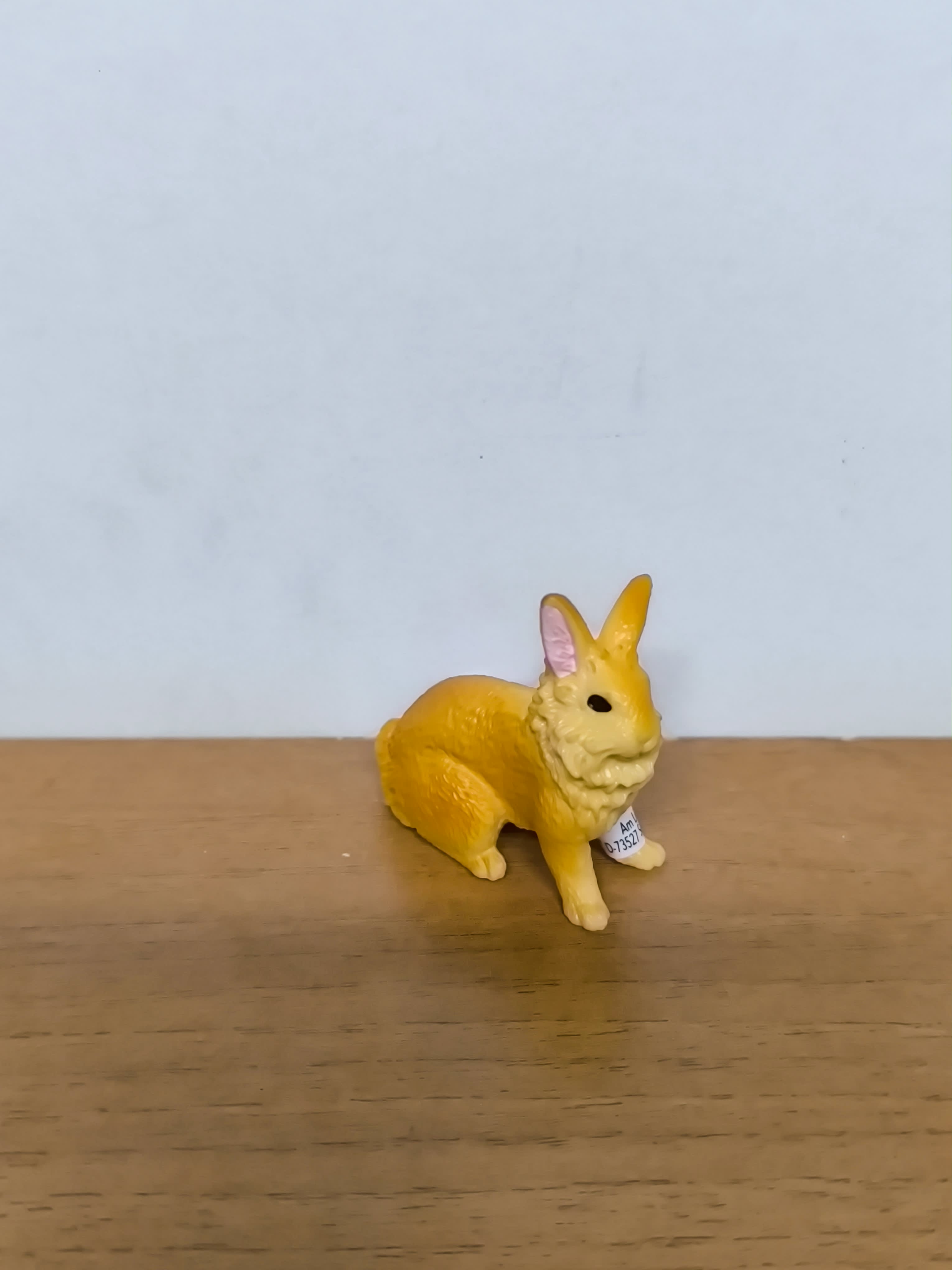 Conejo Cabeza de León
