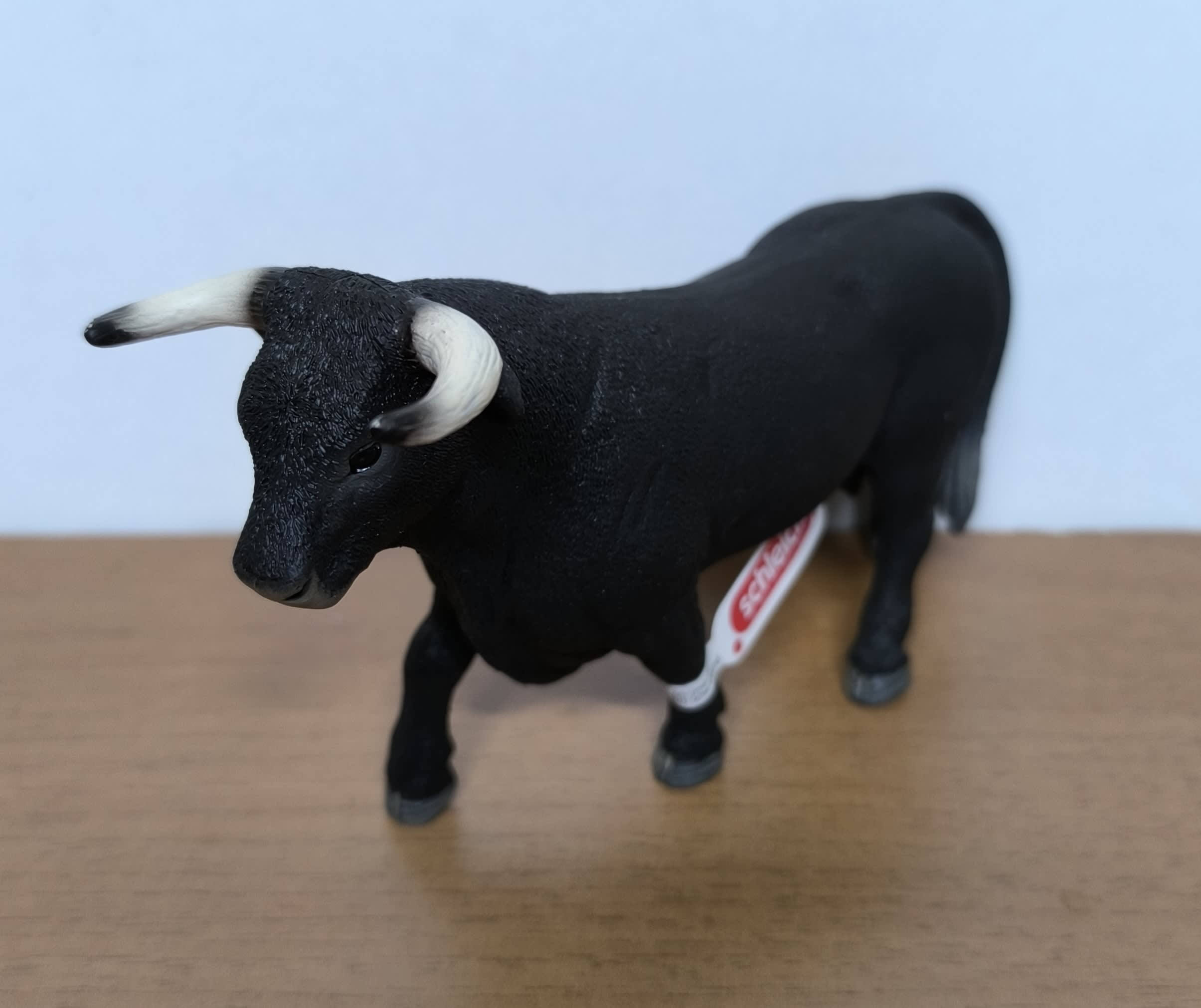 Toro Negro