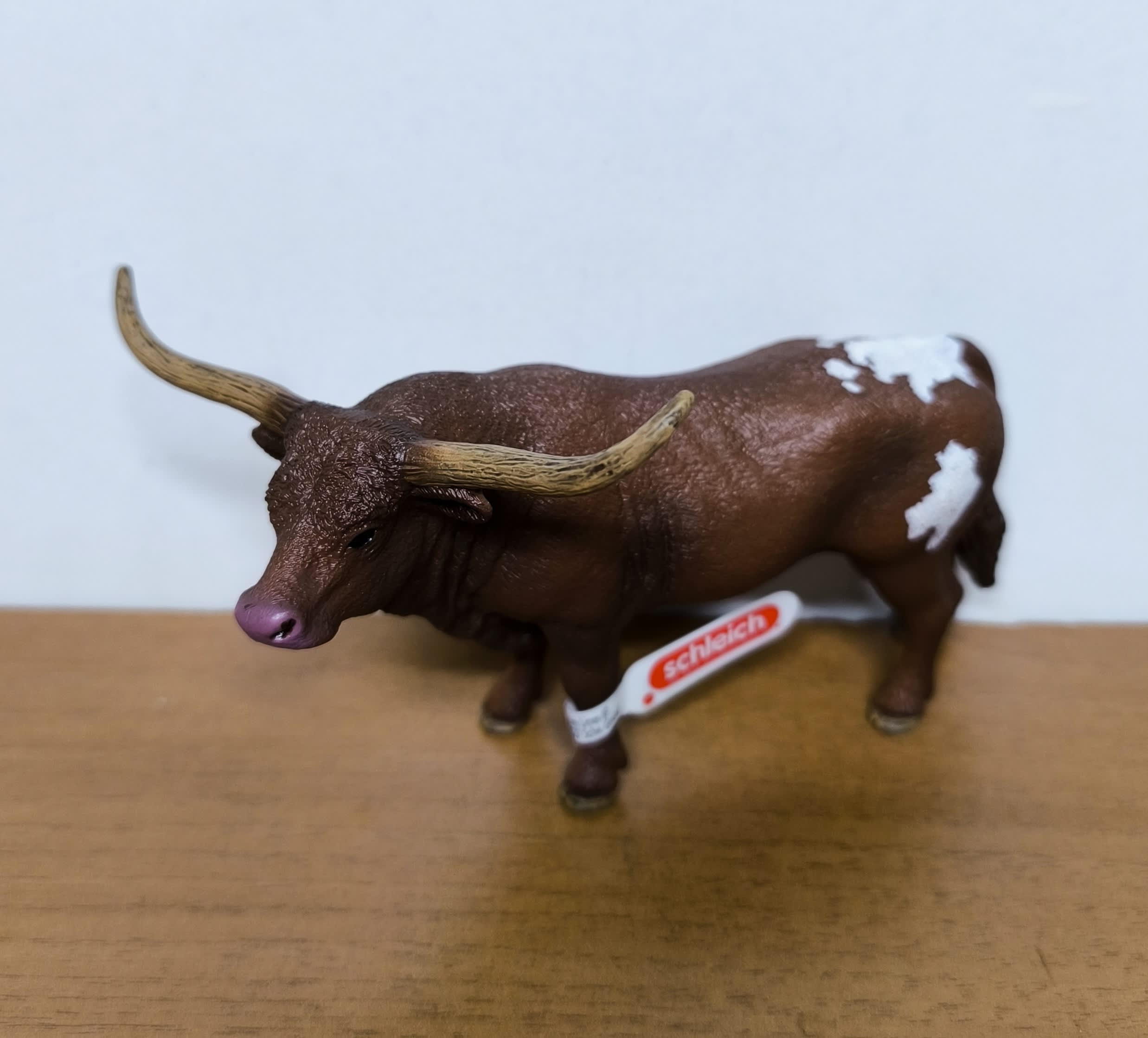 Toro Tejano Longhorn