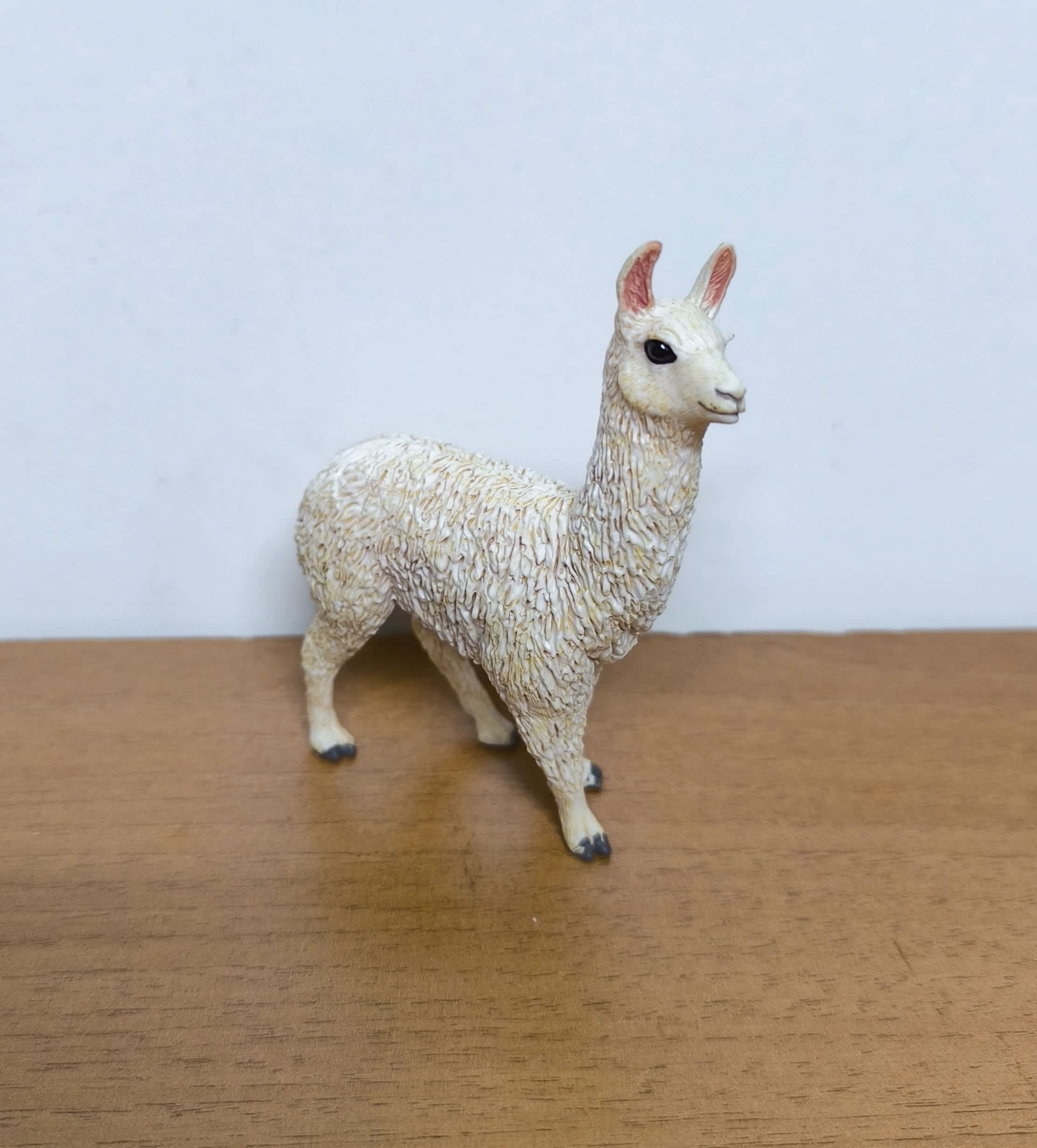Llama