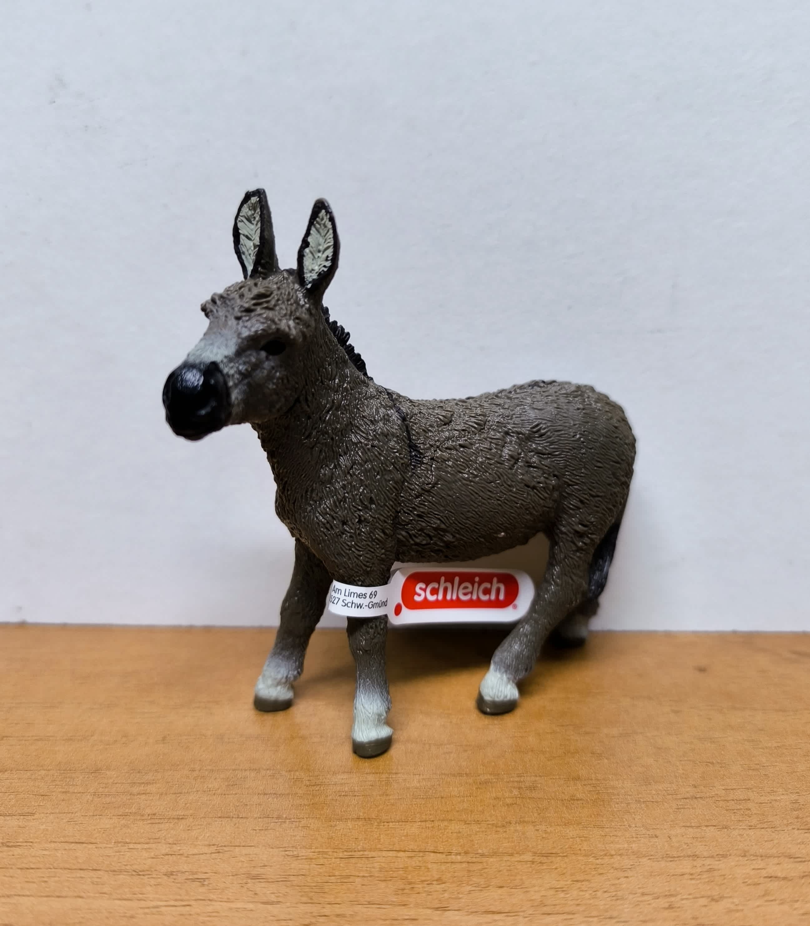 Burro