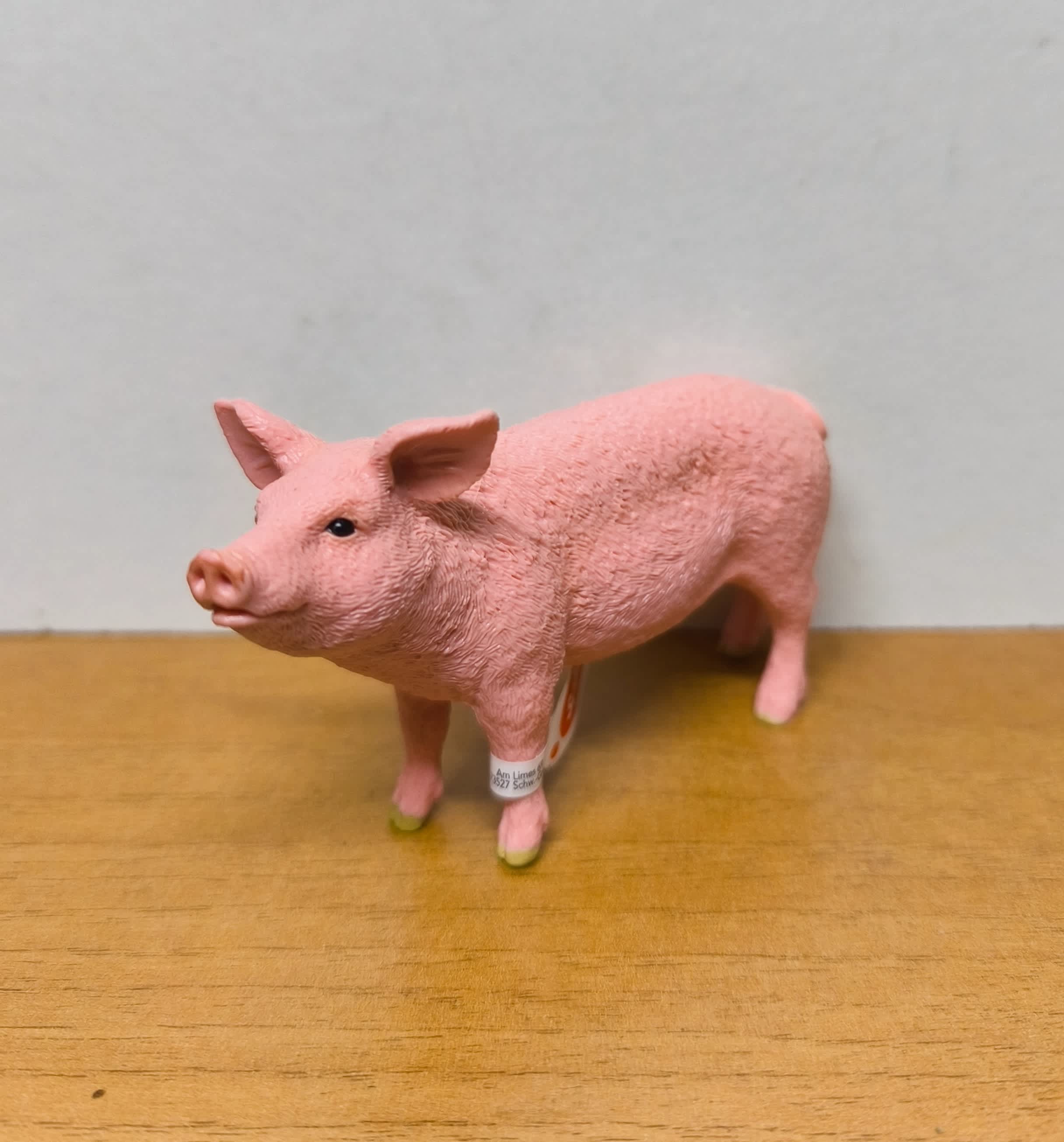 Cerdo