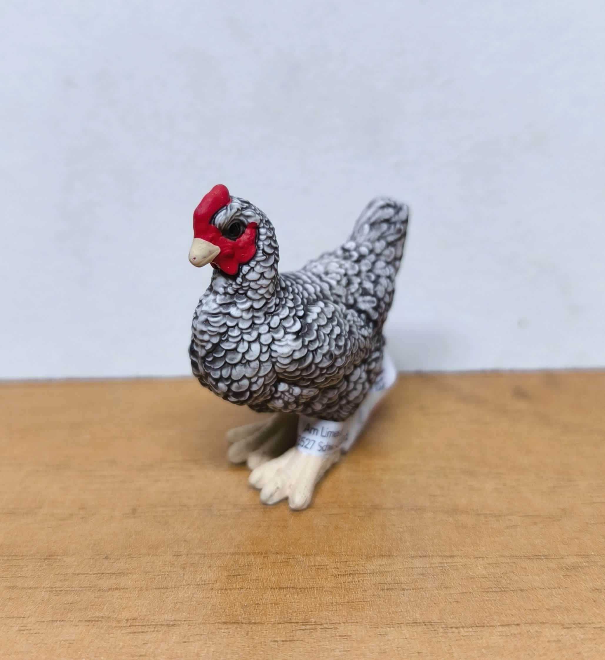 Plymouth Rock Chicken