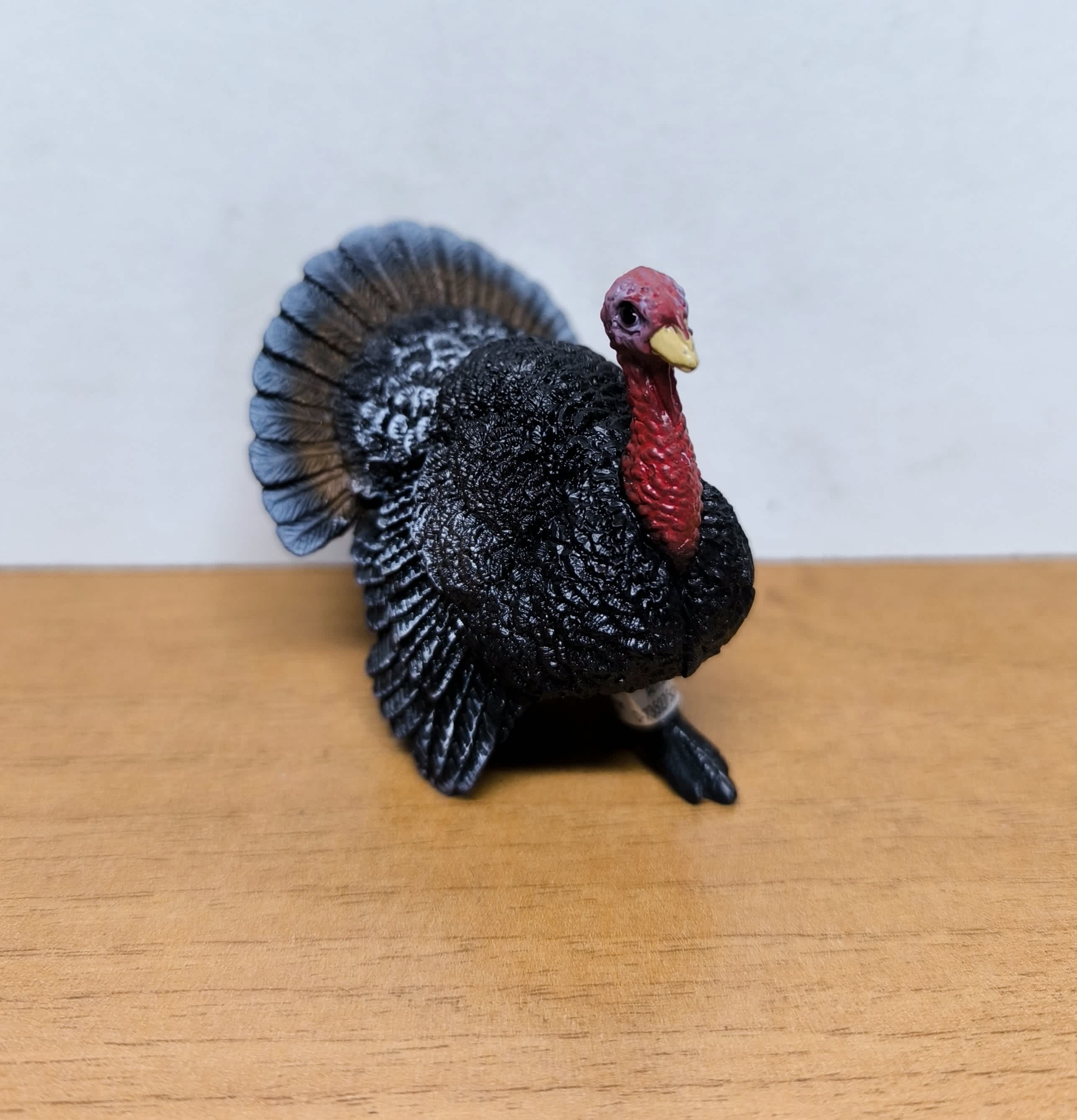 Pavo