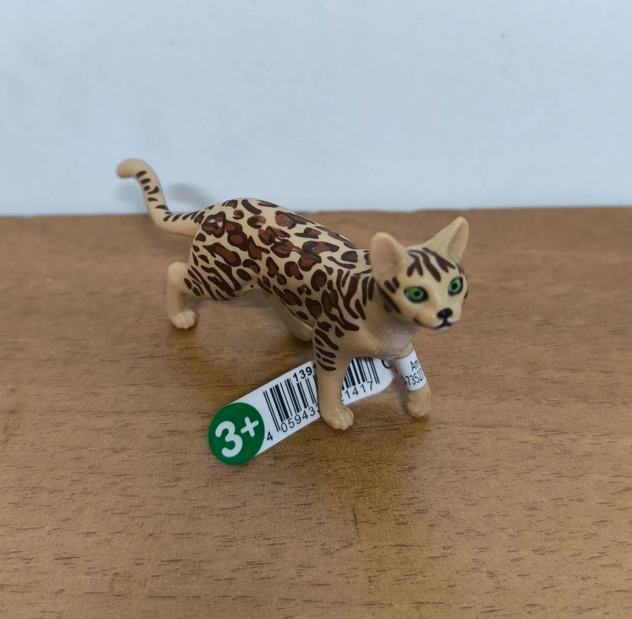 Gato de Bengala