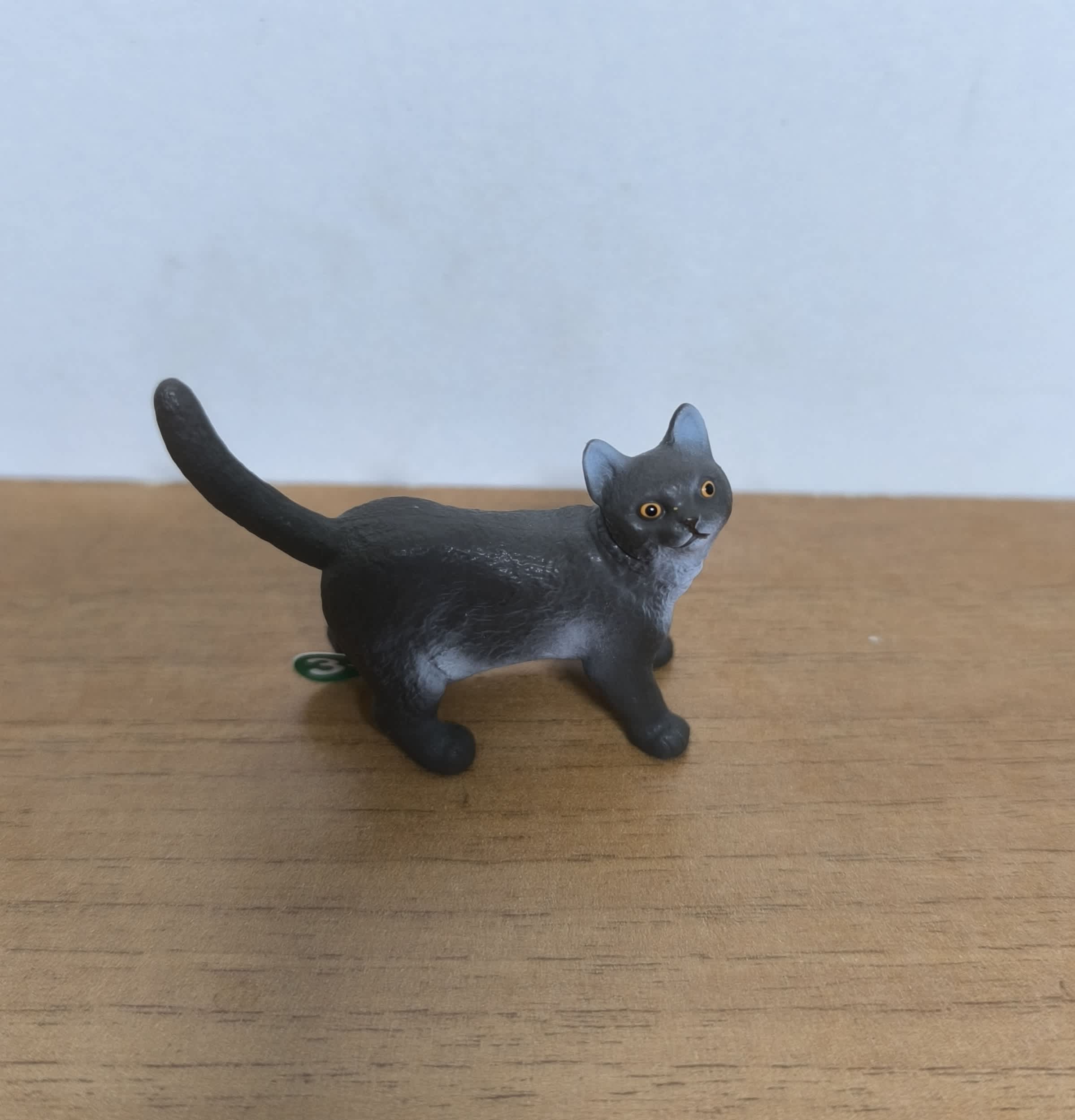 Gato de Pelo Corto Británico
