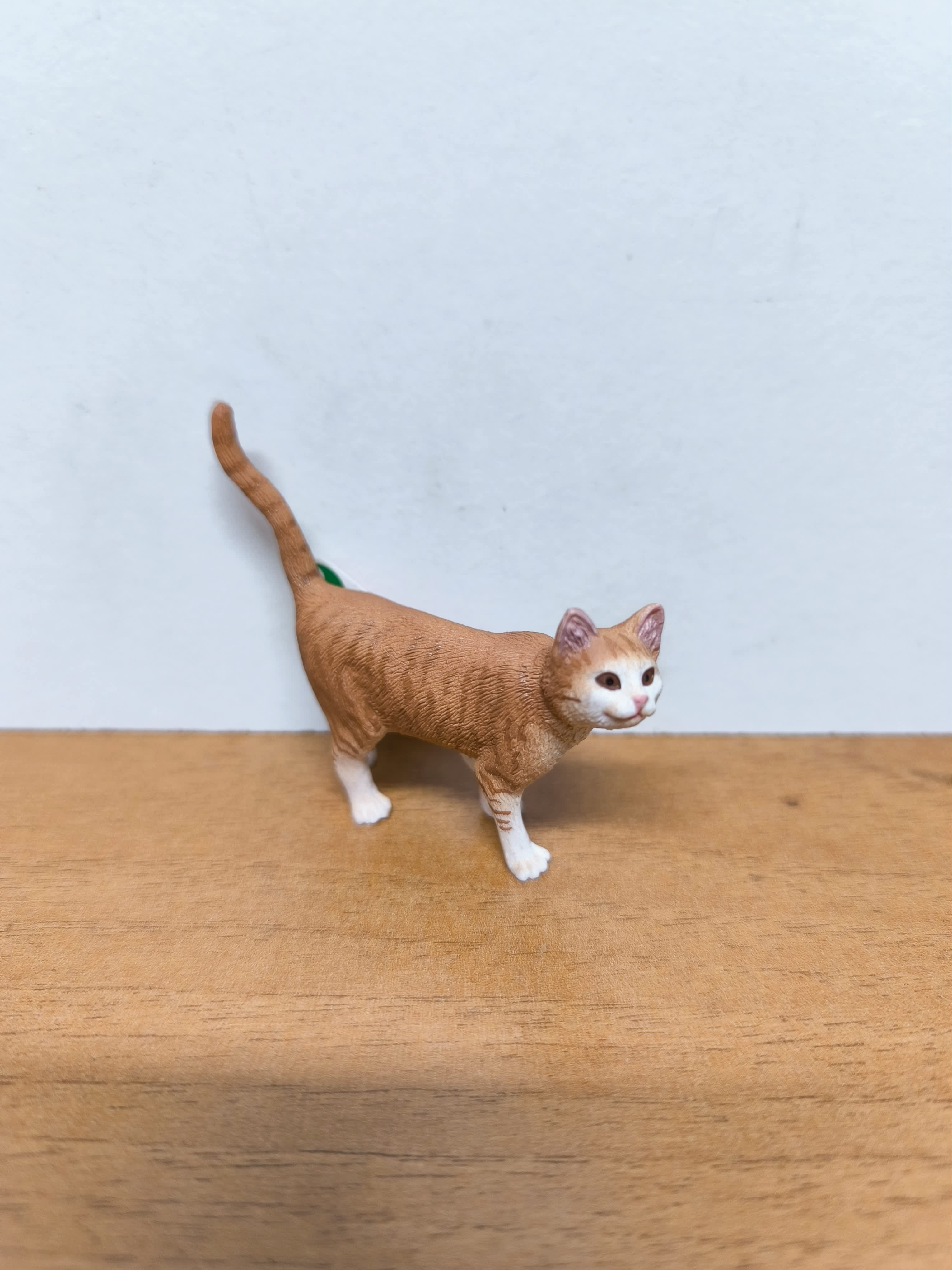 Gato