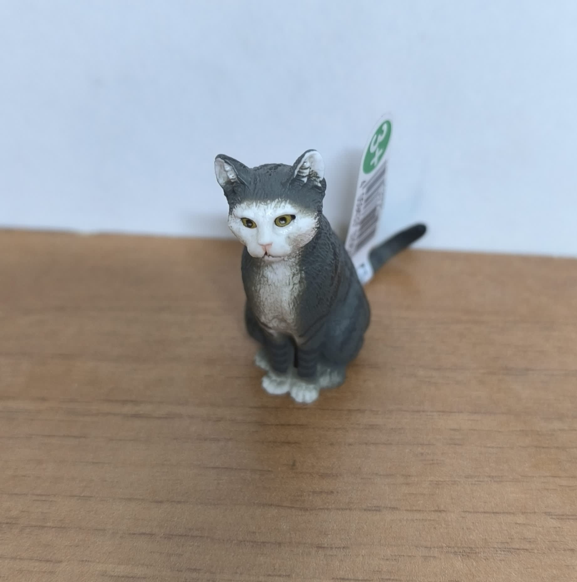 Gato Sentado