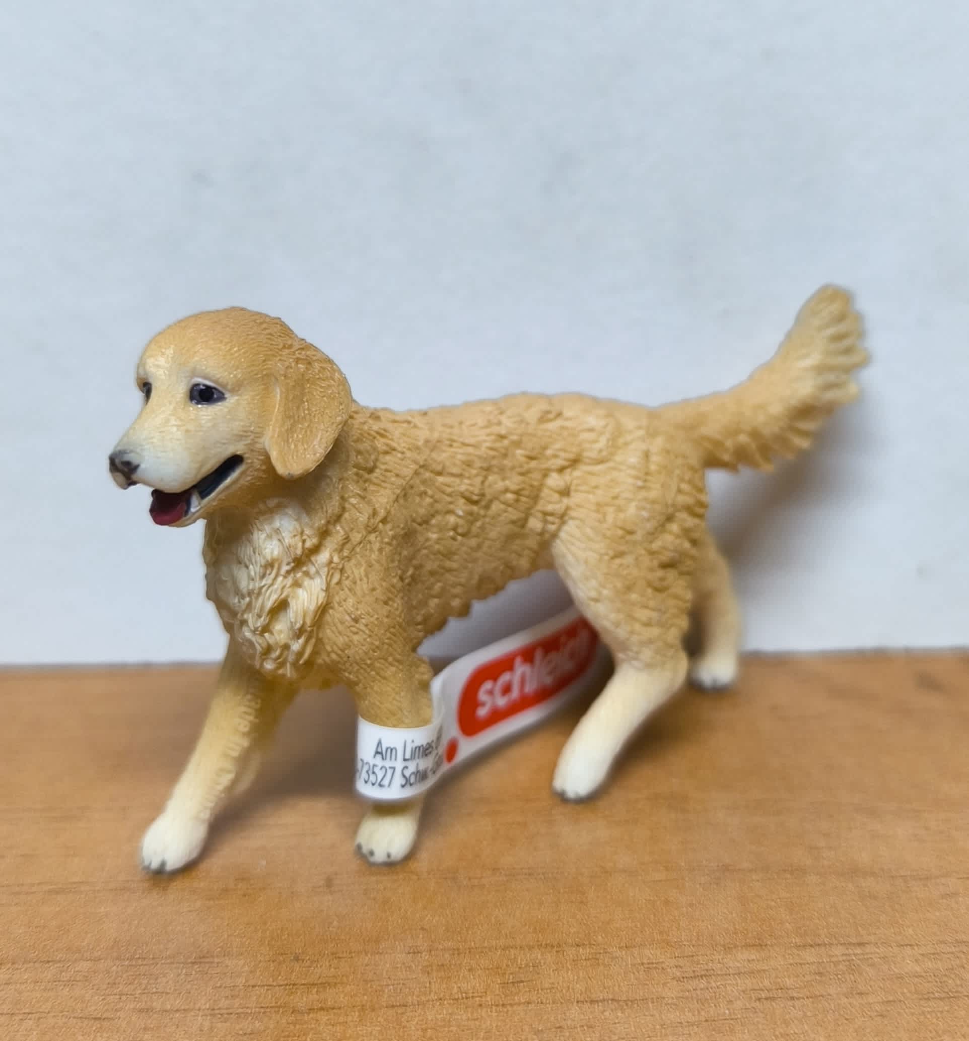 Golden Retriever Hembra