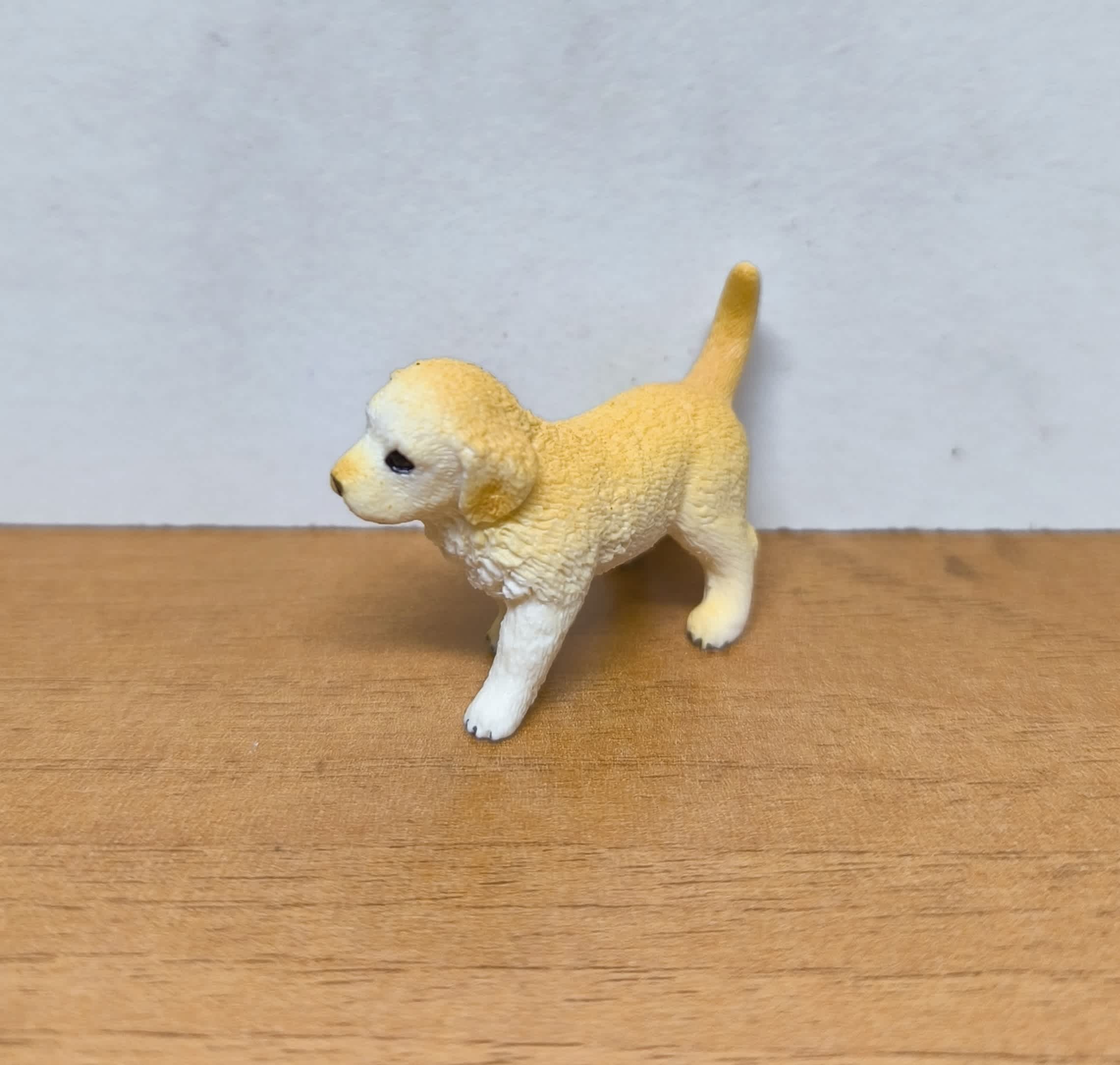 Cachorro Golden Retriever