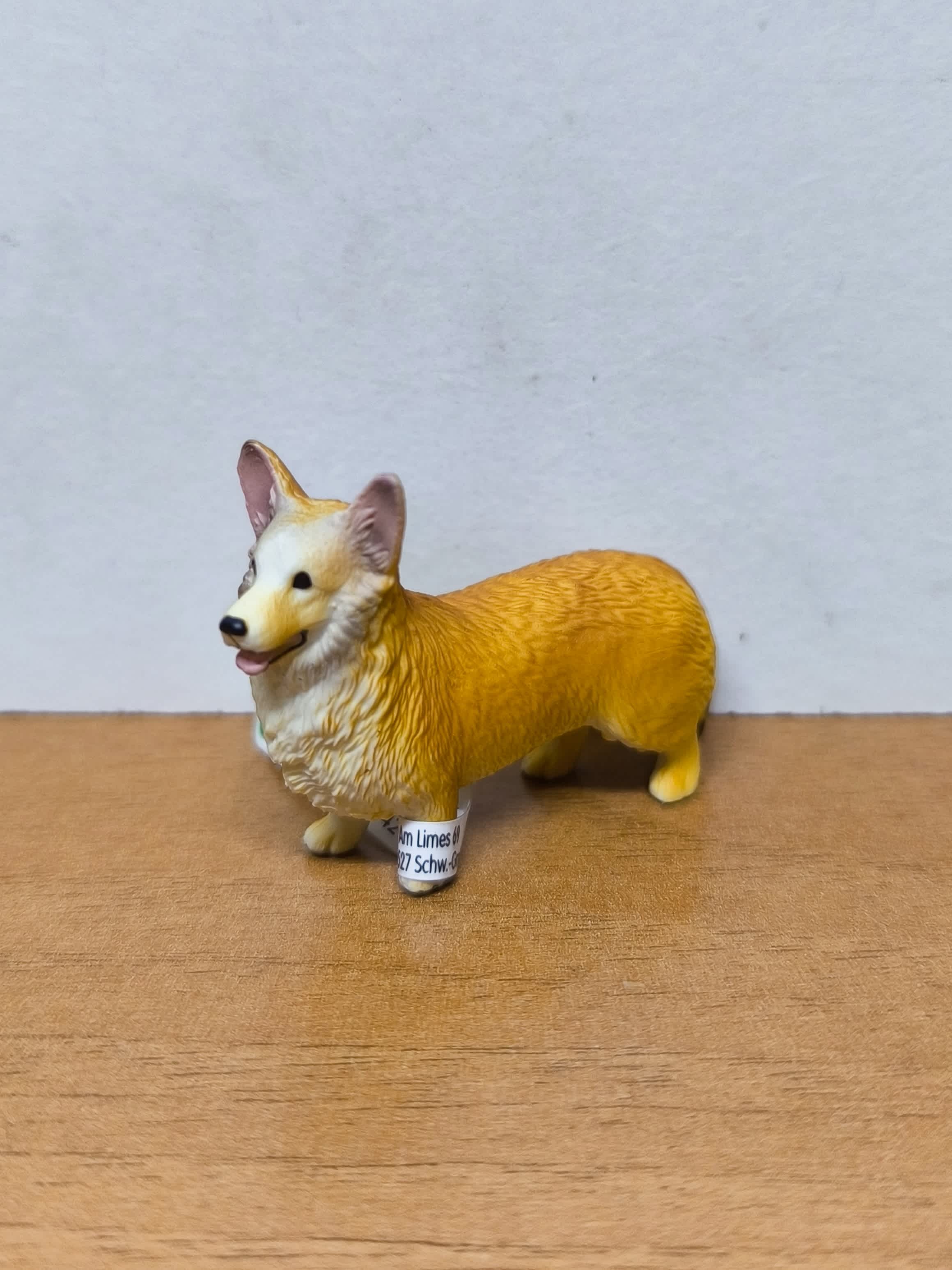 Corgi Galés