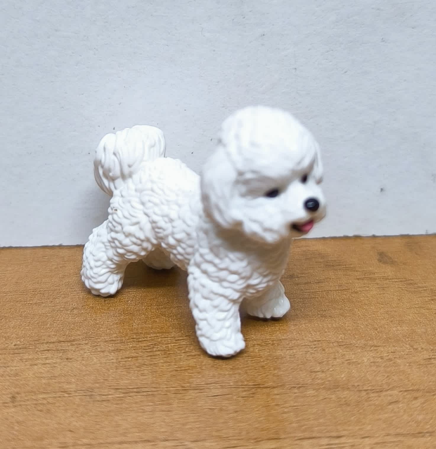 Bichón Frisé