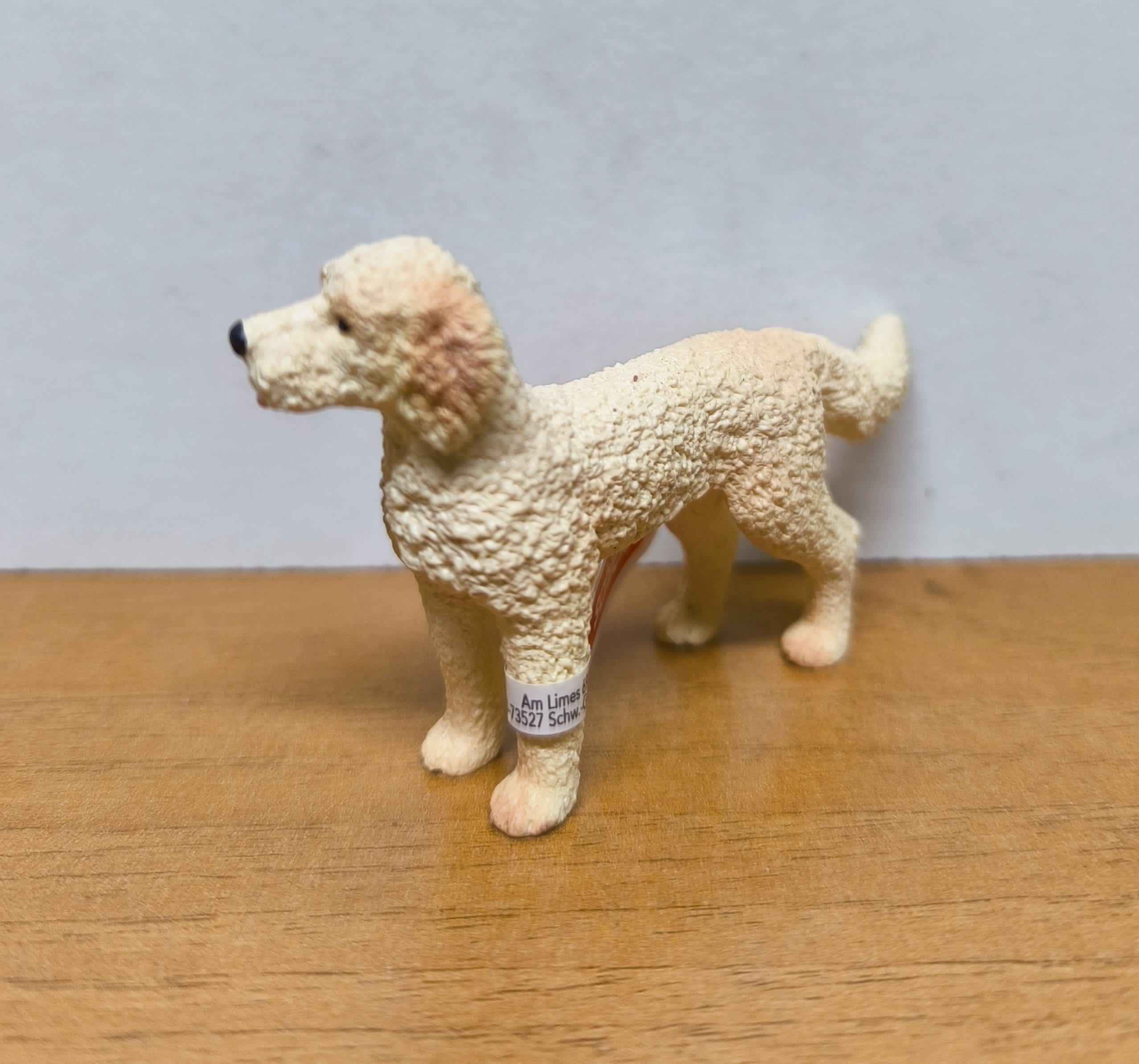 Goldendoodle