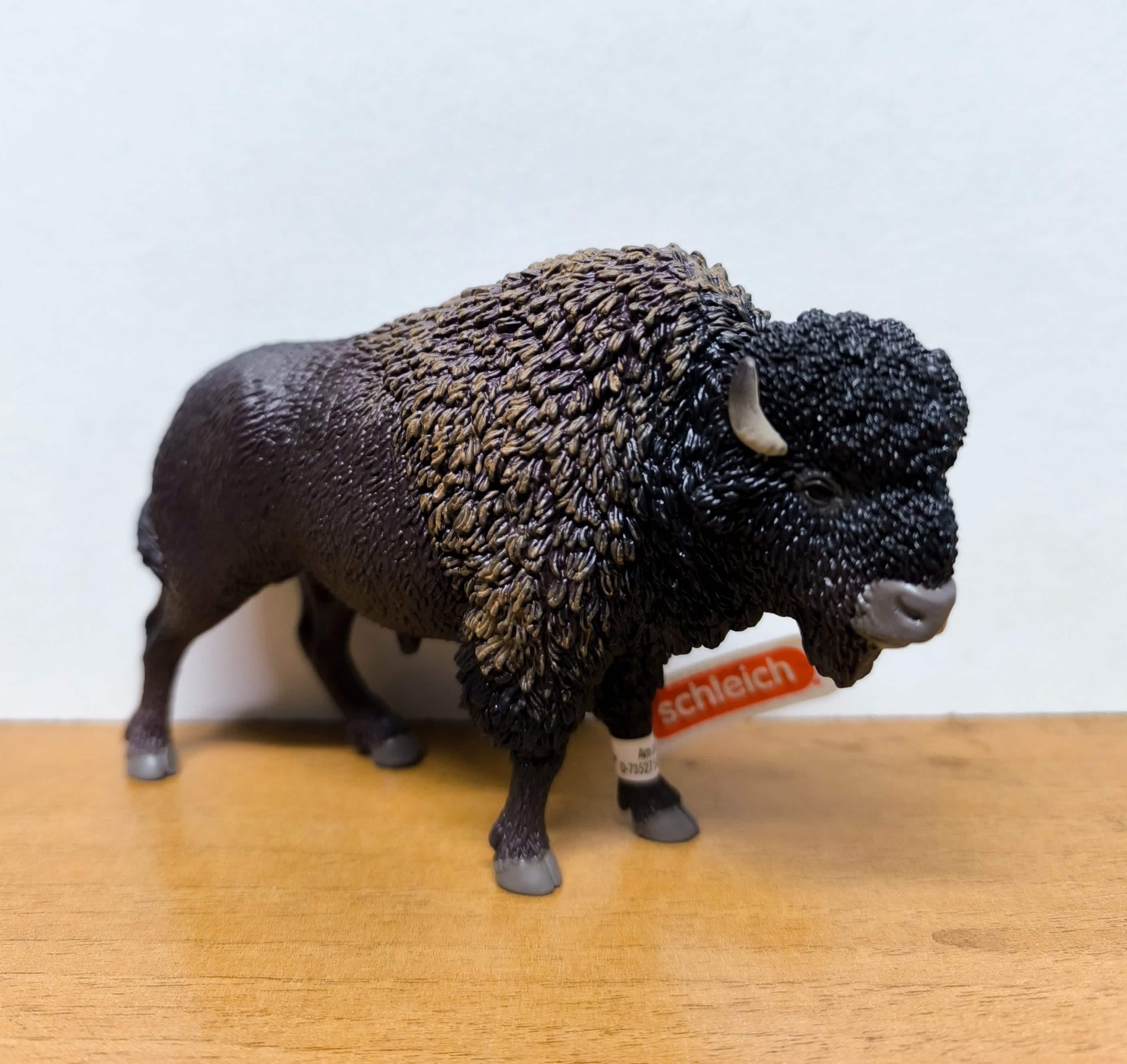 Bisonte