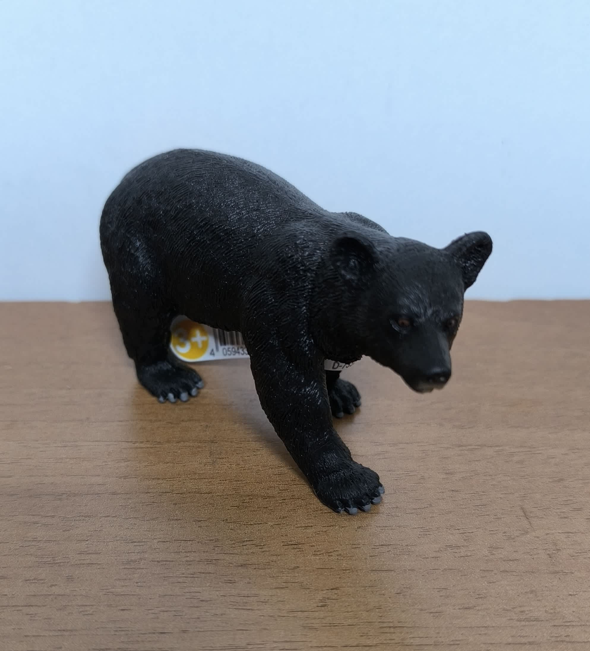 Oso negro americano