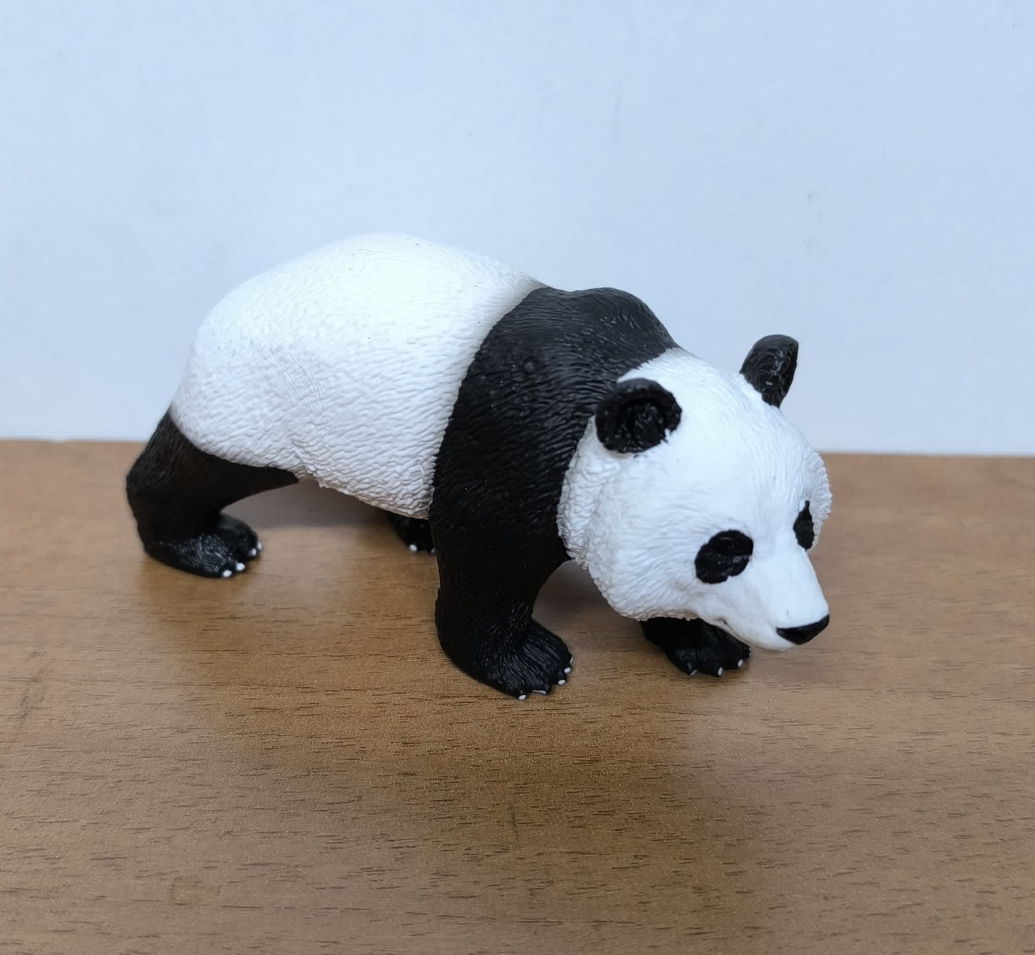 Oso panda