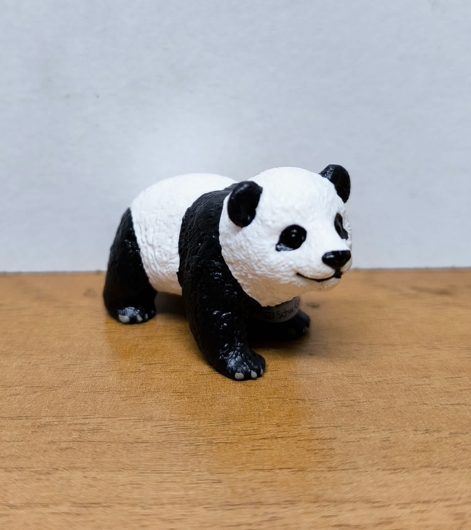 Cría de oso panda