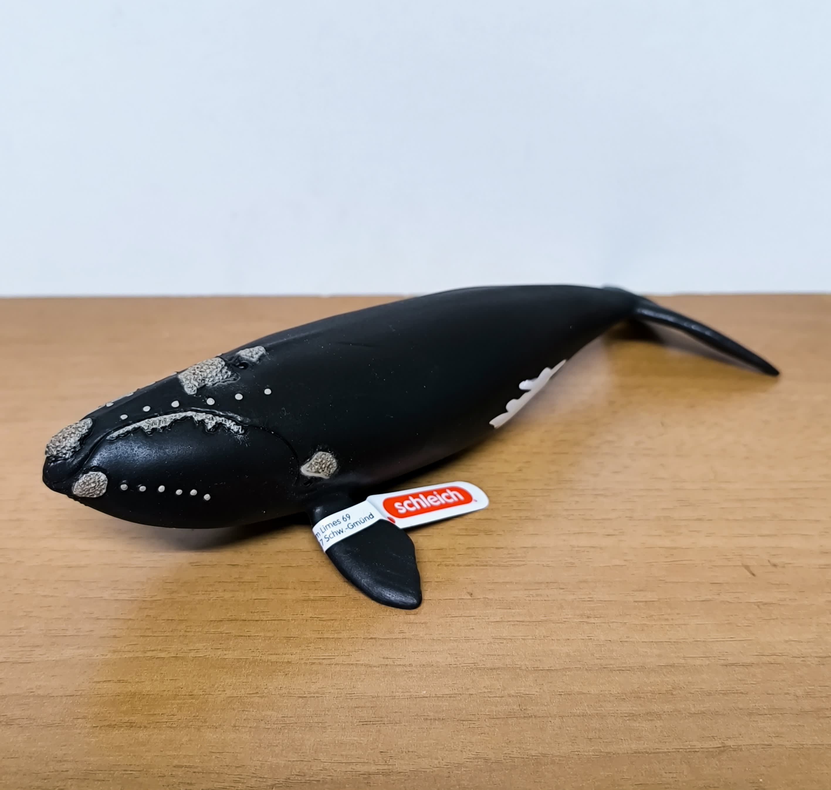 Ballena franca glacial