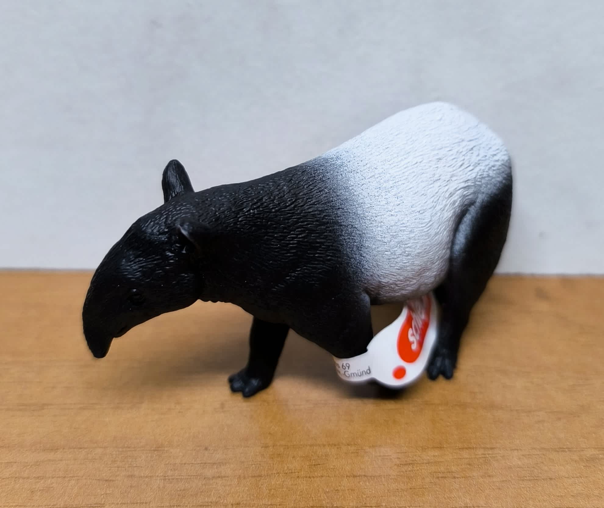 Tapir