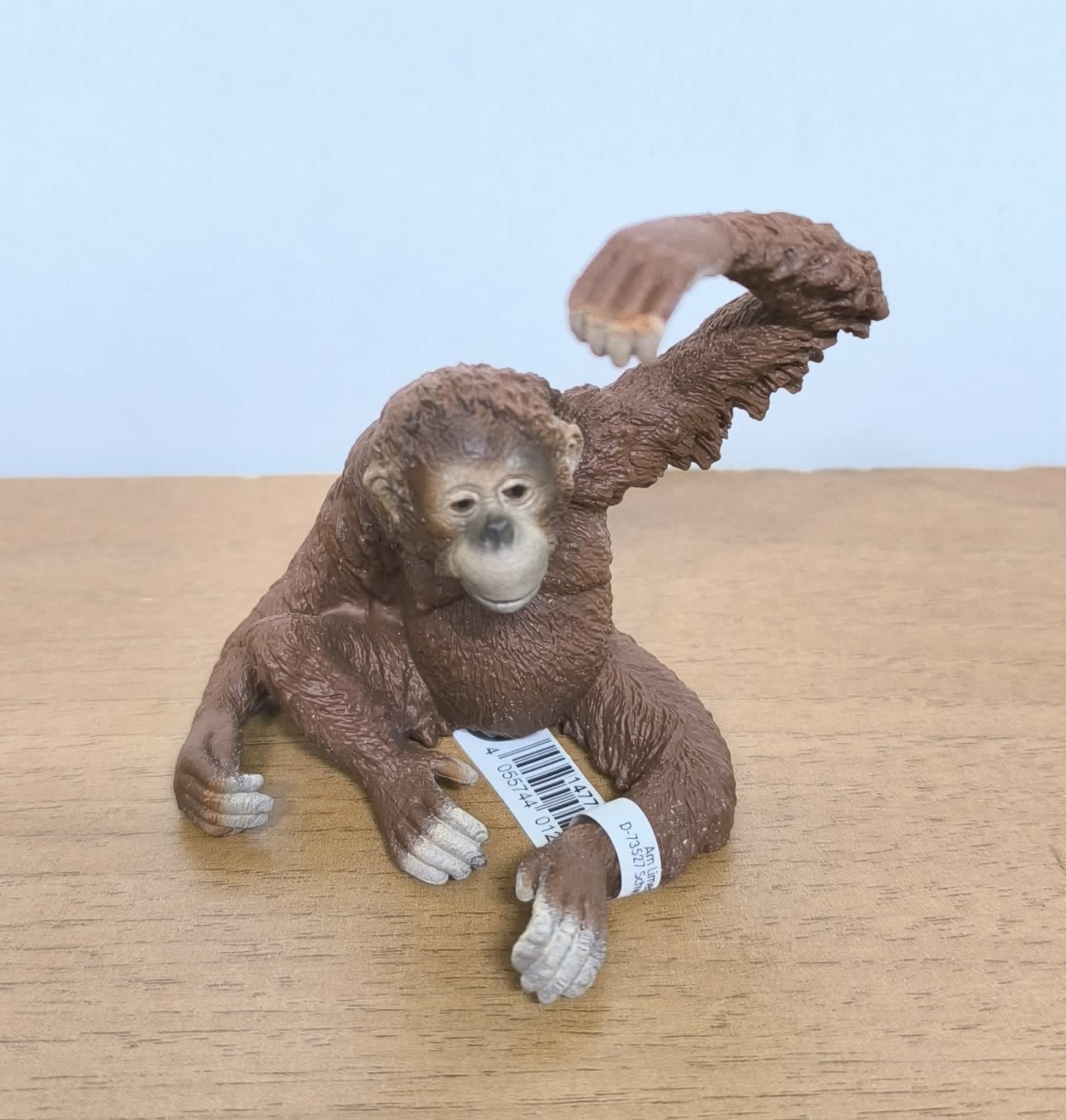 Orangután hembra