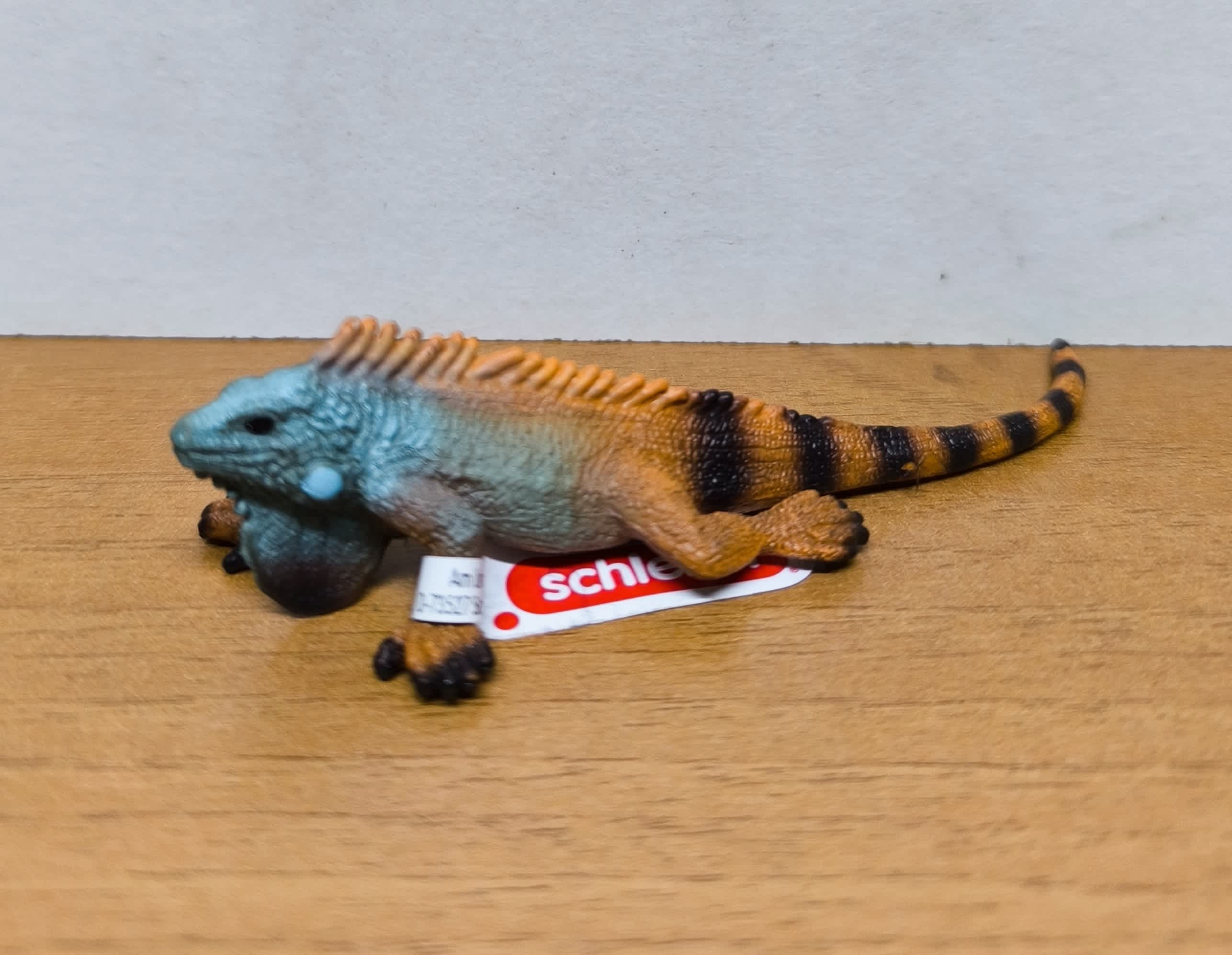 Iguana